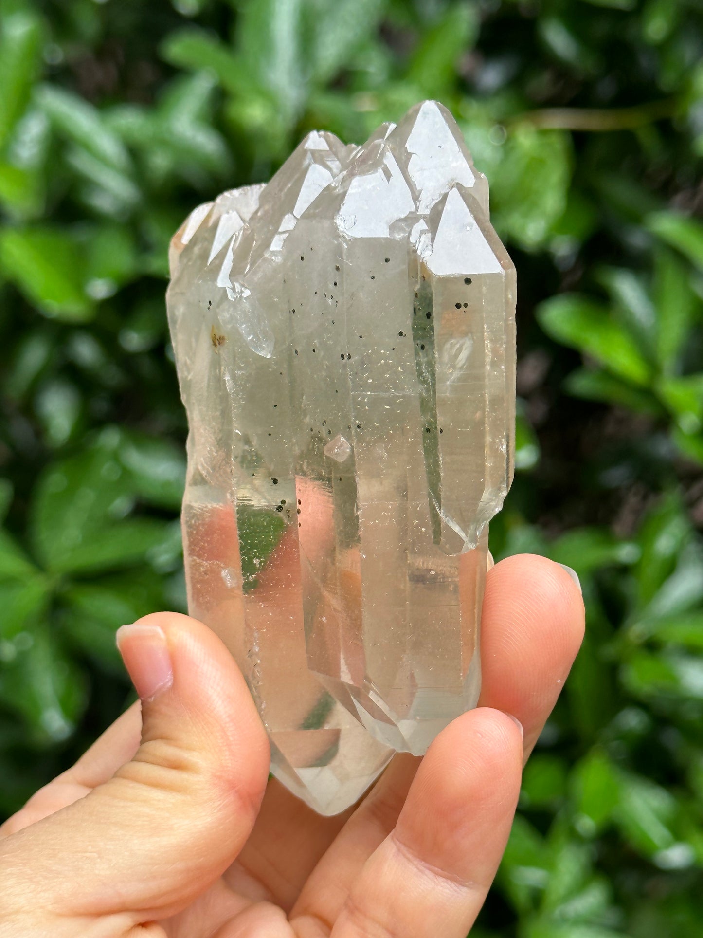 Rare Tabular Multiple Double Terminated Quartz Crystals with Light Green Phantom Included,Chlorite Pyramid Including