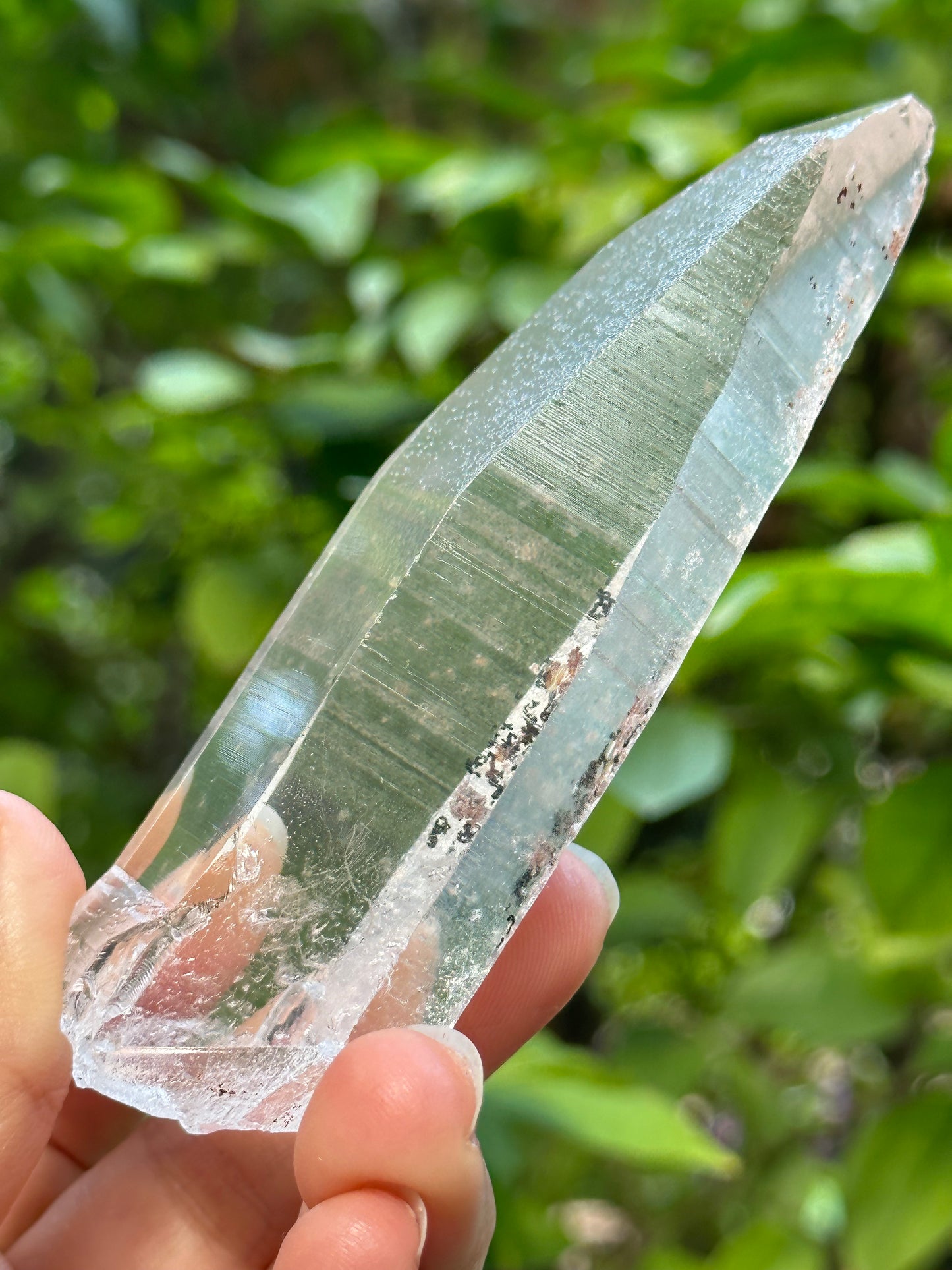 Rare Perfect Clear Record-keeper Lemurian Seed Quartz Crystal With Green Phantom Included