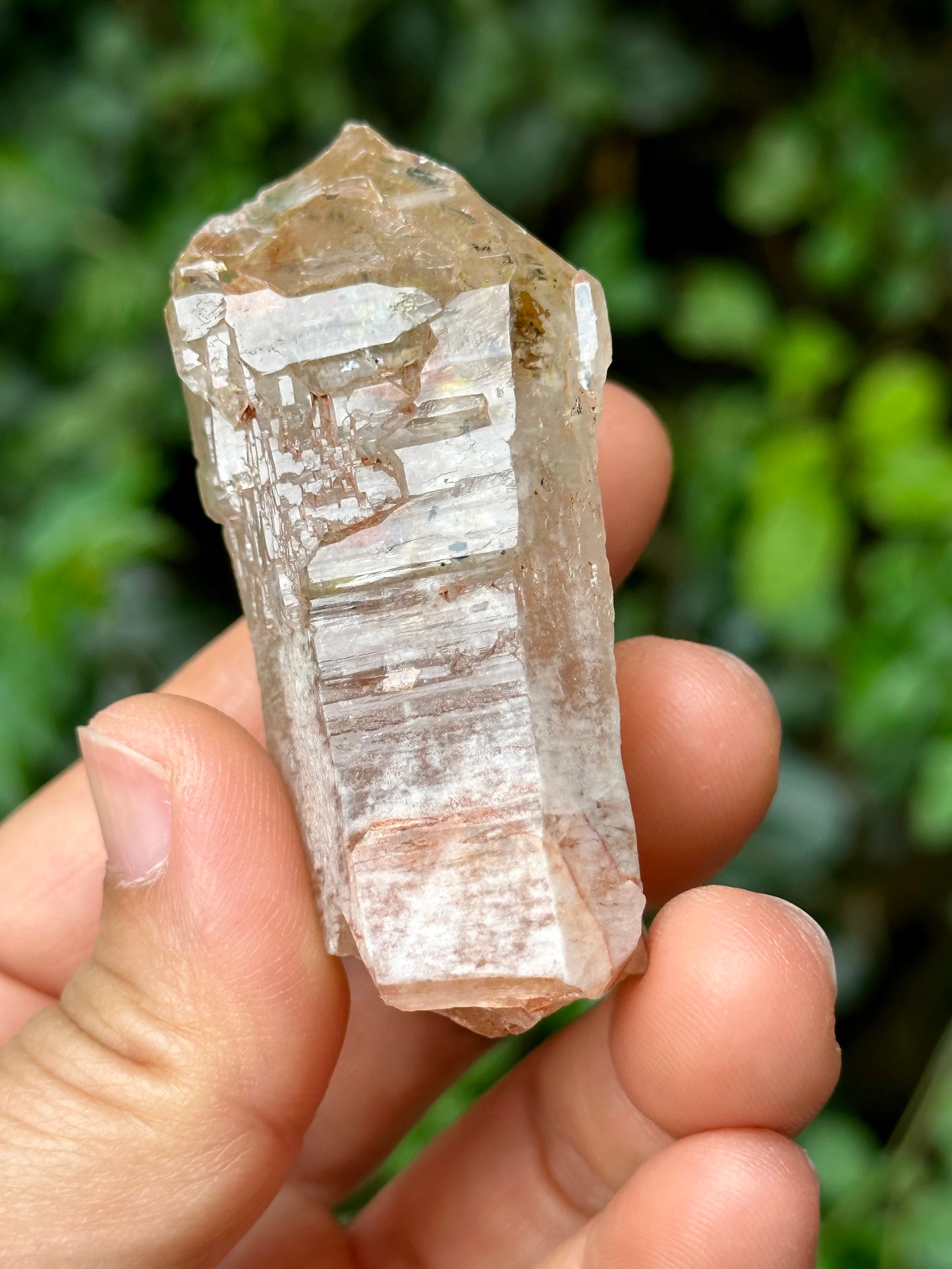 Fluorescent Skeletal Nirvana Quartz Crystal Point with Red Mud-from Madagascar Scepter crystal/Energy Quartz/Palm Stone Crystal- 61*33*24 mm 63 g