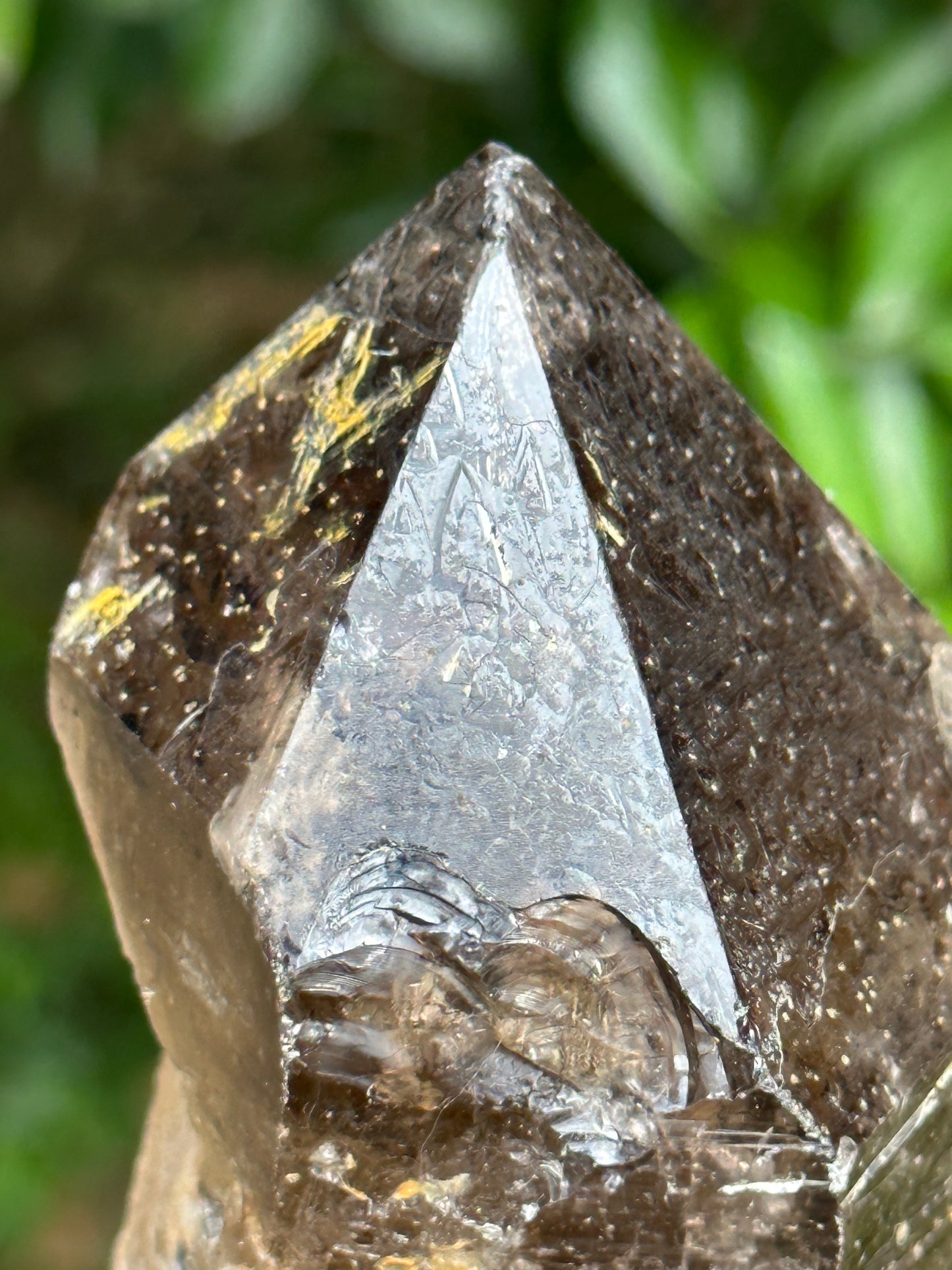 759 g Rare Record-keeper Strawberry Quartz Crystal Point