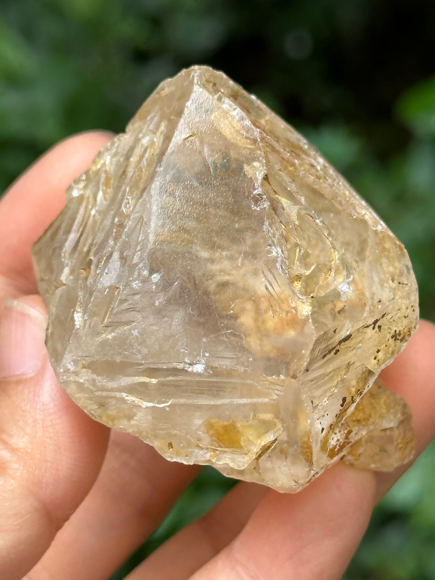 Natural Fenster Crystal Skeletal Quartz Point with golden soil-from Himalayas,Nirvana crystal/Energy Quartz-47*52*42 mm 101 g