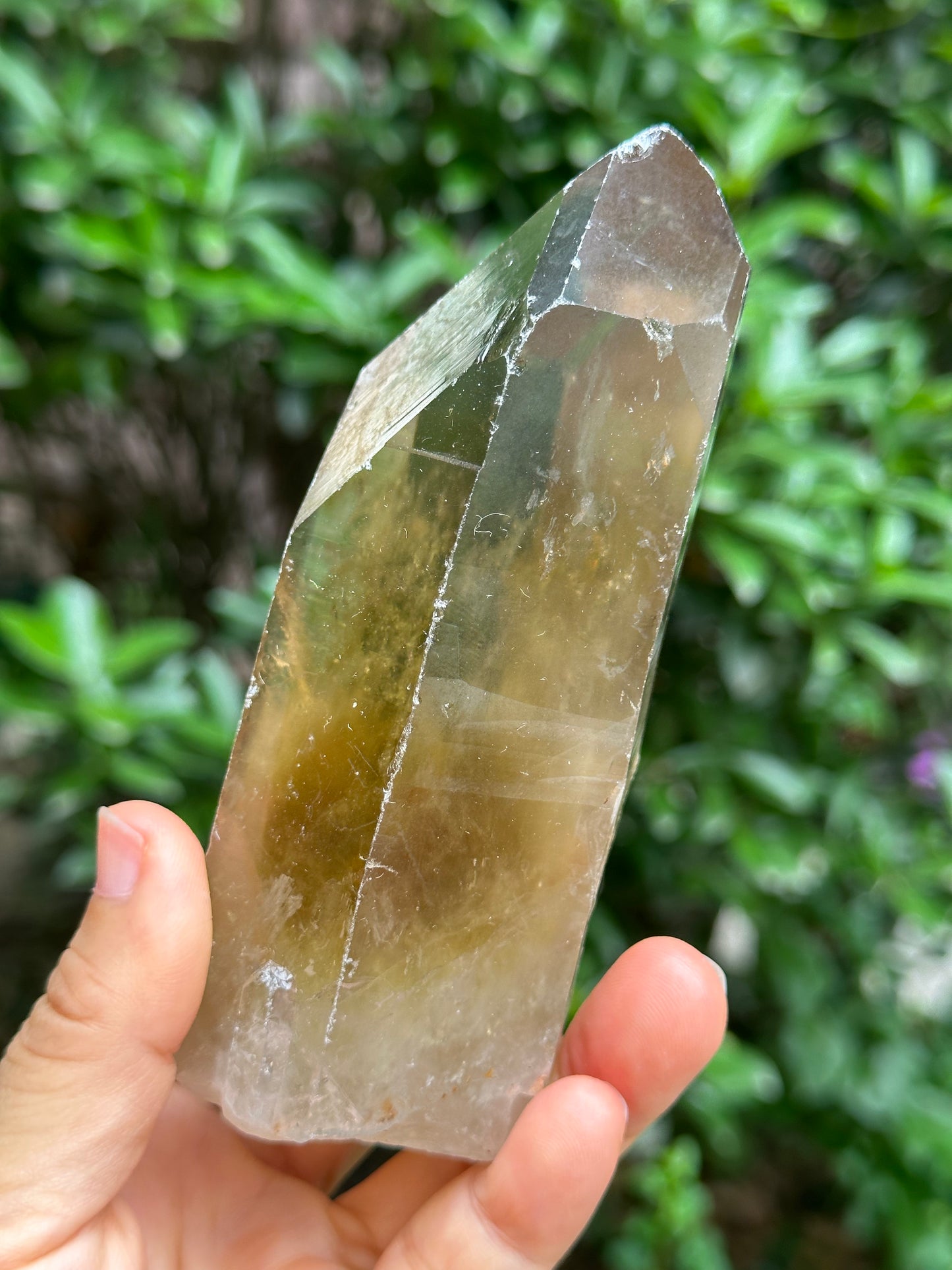 Rare Clear Window Citrine Crystal Time Links Quartz Crystal Energy Healing Meditation-393 g