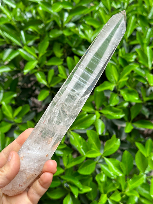 9.2“Long Muzo Lemurian Seeds Quartz Blue Angel's Feather Crystal/Starbrary Laser Record-keeper Crystal/Akashic Striation/Meditation-305 g