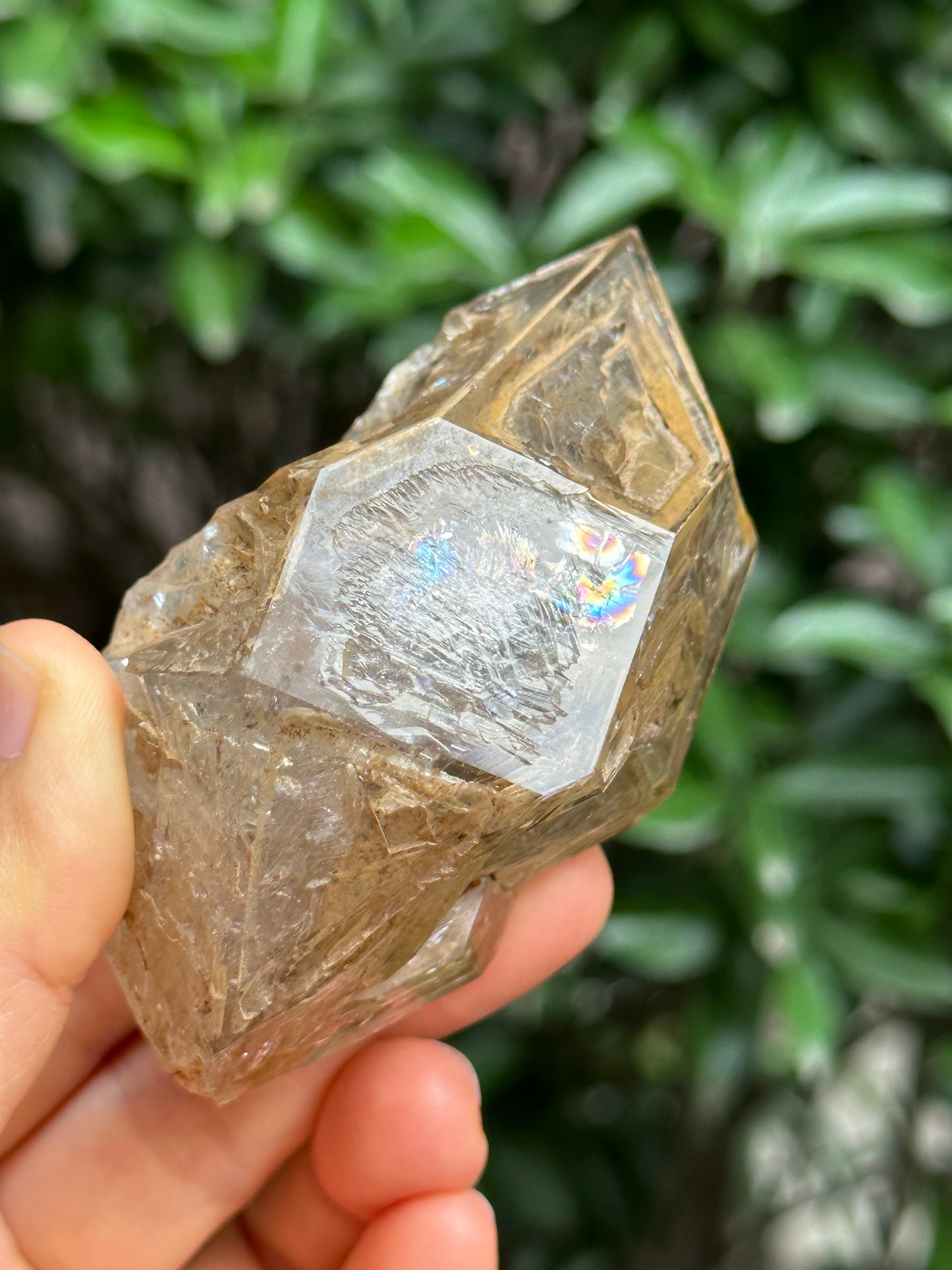 Rare Double Terminated Fenster Skeletal Quartz Crystal/Himalayan Energy Quartz Crystal-85*54*43 mm 188 g