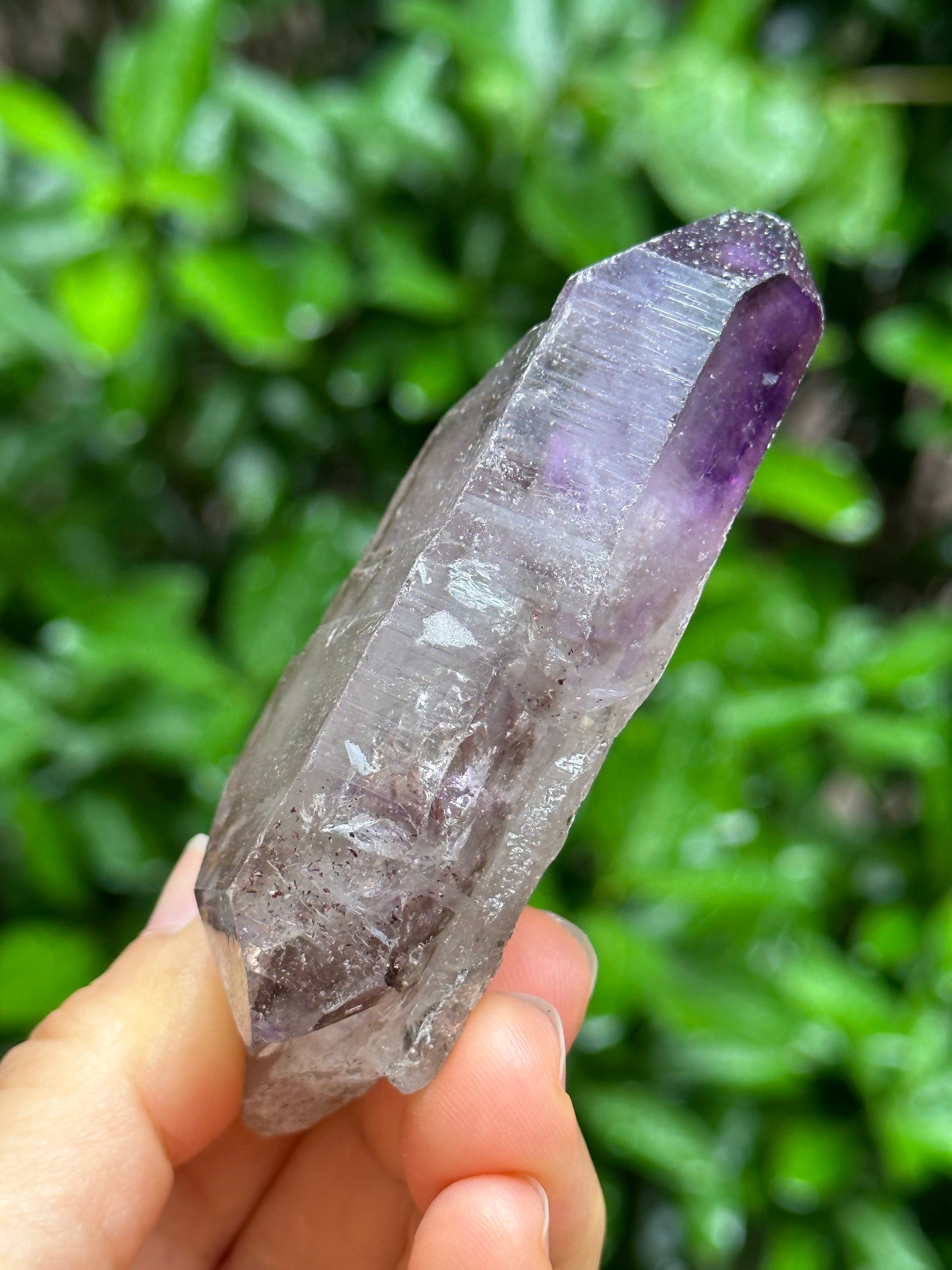 Rare Tabular Double Terminated Super 7 Amethyst Quartz Crystals