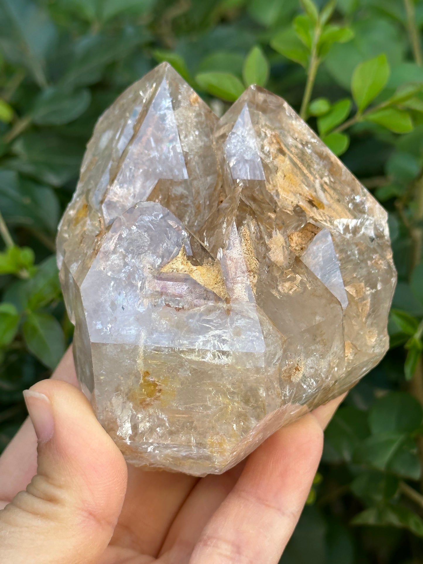 307 g Clear Himalayan Record-keeper Skeletal Quartz Fenster Crystal Cluster