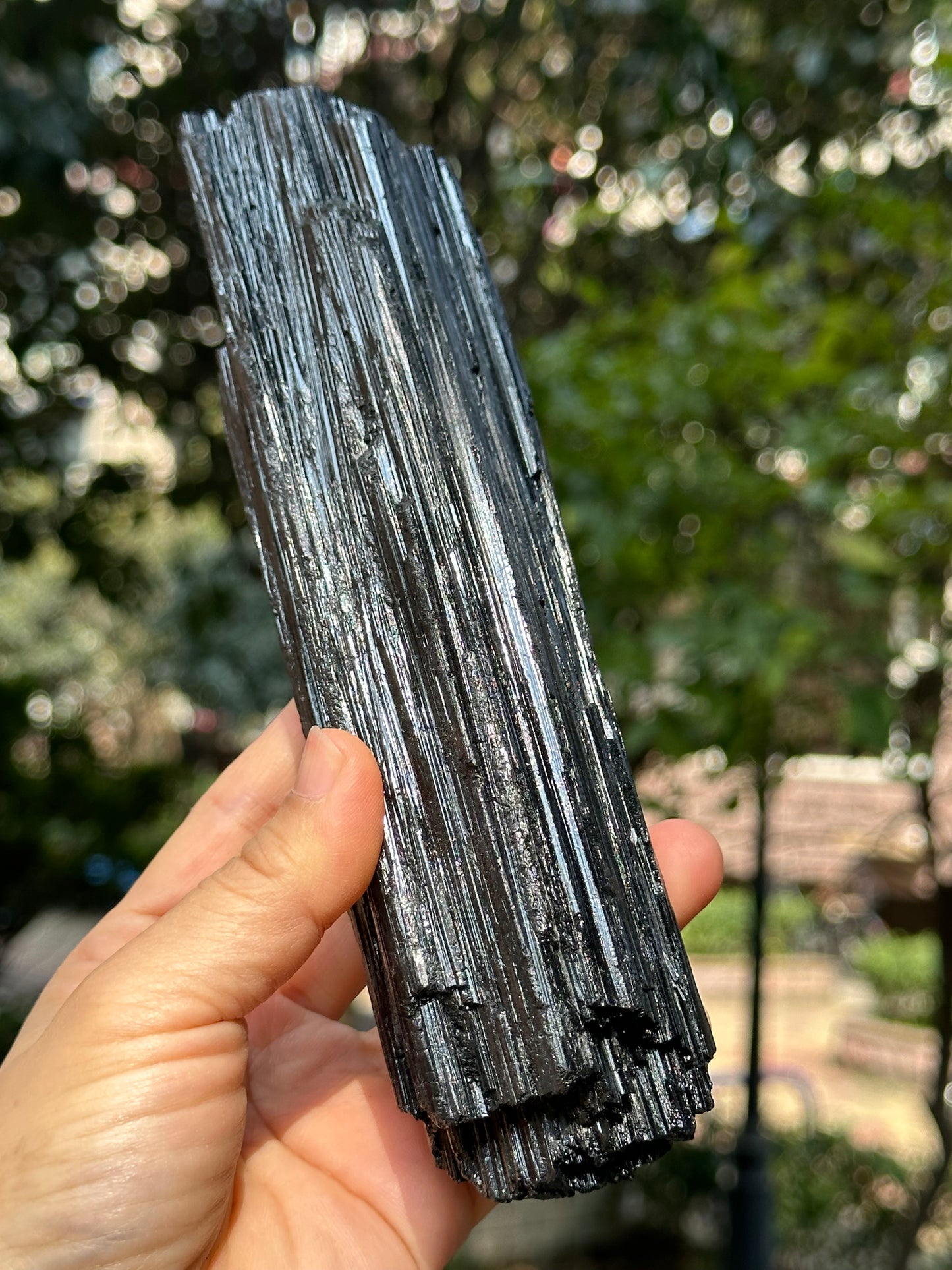 8.2 " Natural LONG & LARGE Raw Black Tourmaline Crystal Point/Shining Tourmaline Specimen-208*53*43 mm 860 g