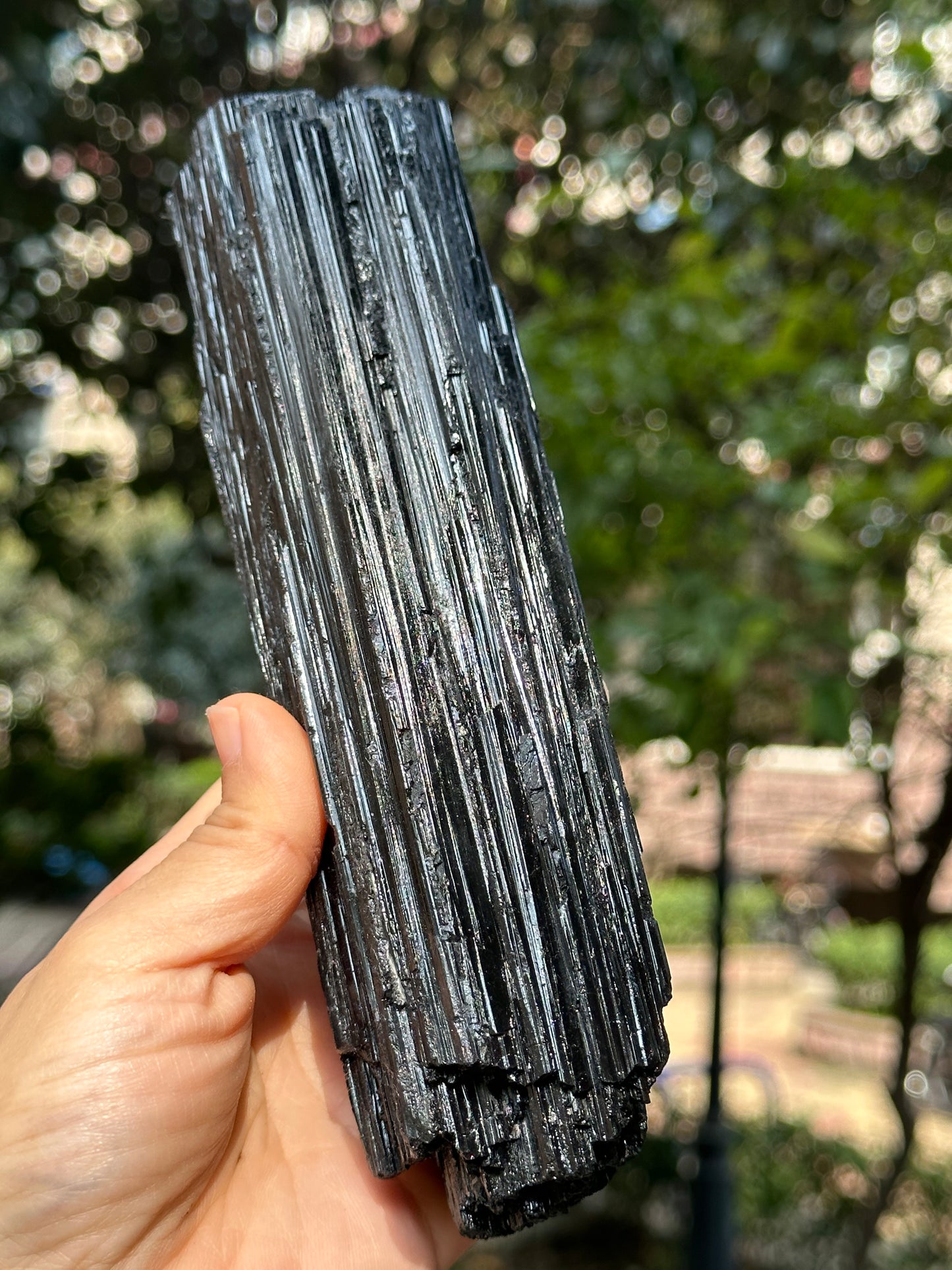 8.2 " Natural LONG & LARGE Raw Black Tourmaline Crystal Point/Shining Tourmaline Specimen-208*53*43 mm 860 g