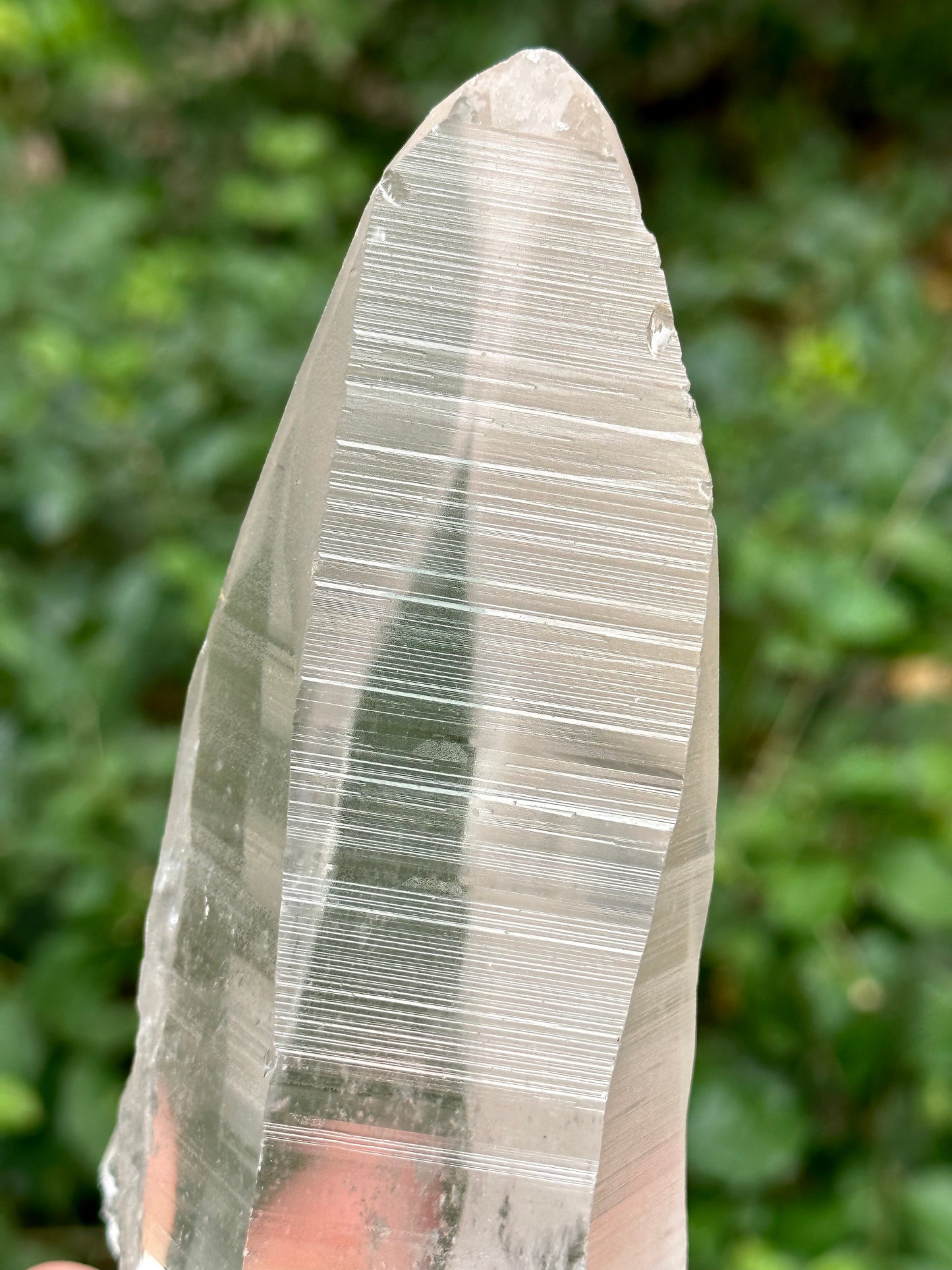 1.2 lbs Long and Clear Columbia Lemurian Seed Muzo Quartz Laser Knife Crystal Point with Striation