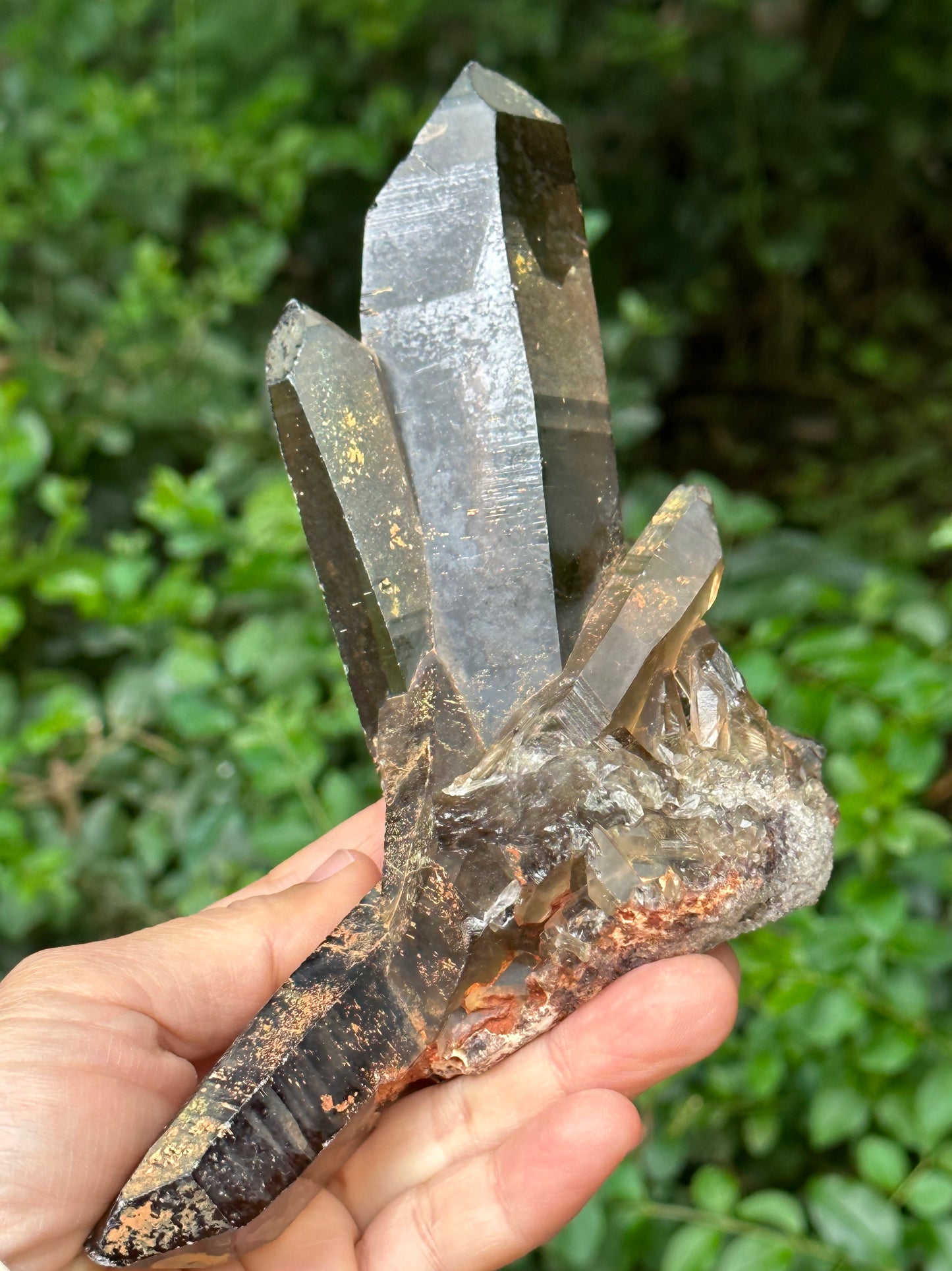 Tantric Twins Law Clear Smokey Quartz Knife Crystal Point/Citrine Quartz Muzo Crystal Cluster/Soulmate Twin Quartz Crystal-447 g