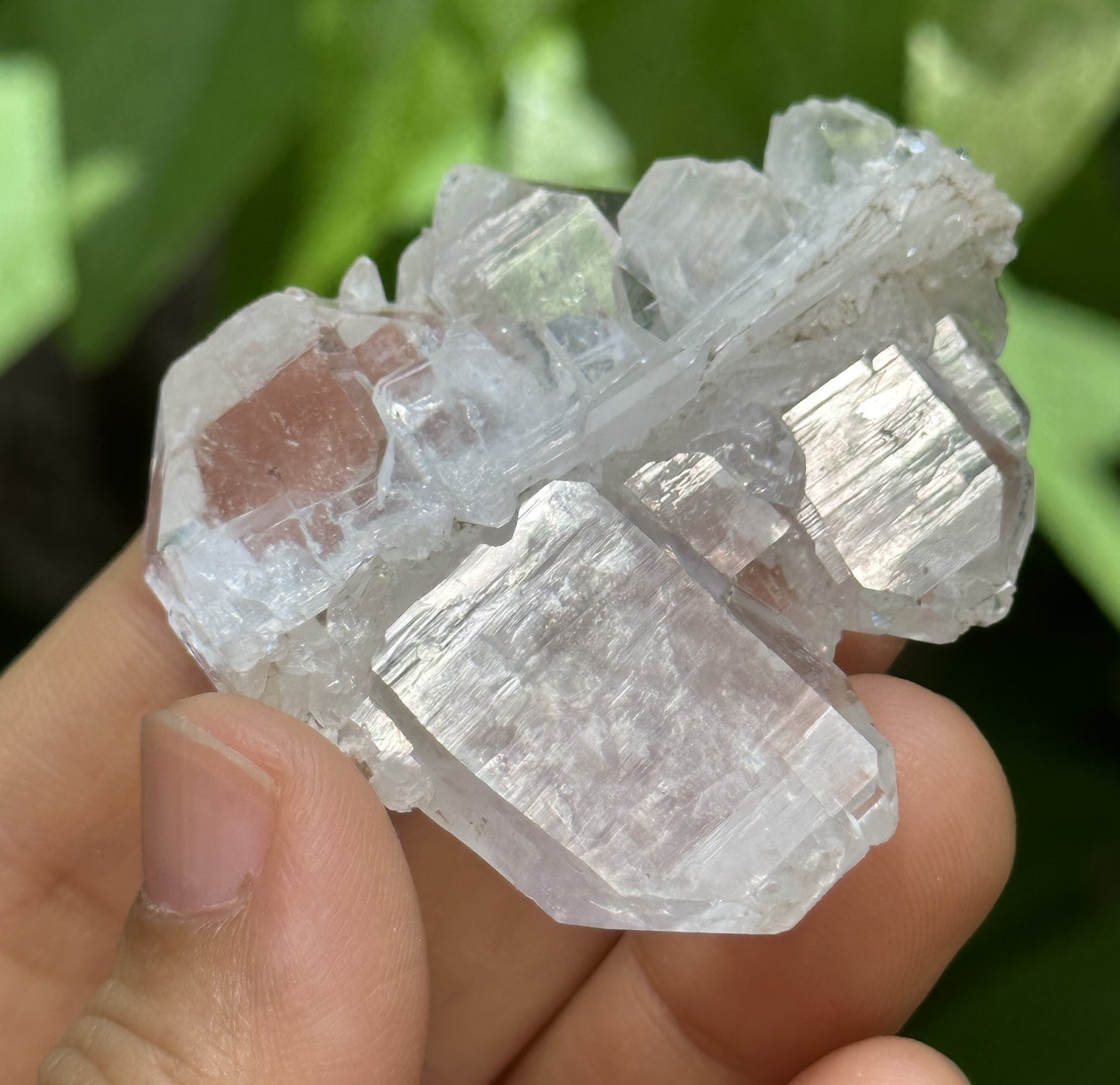 Clear Double Terminated Faden Tabular Quartz Crystal Cluster