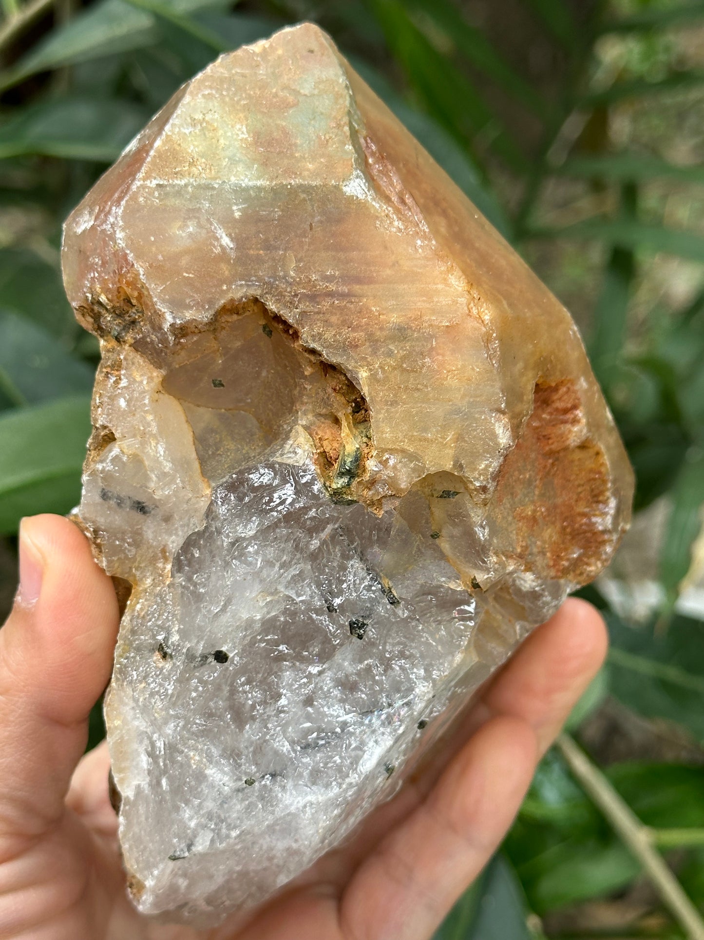 Rare Tangerine Amphibole & Green Tourmaline Grow with Quartz Crystal Point