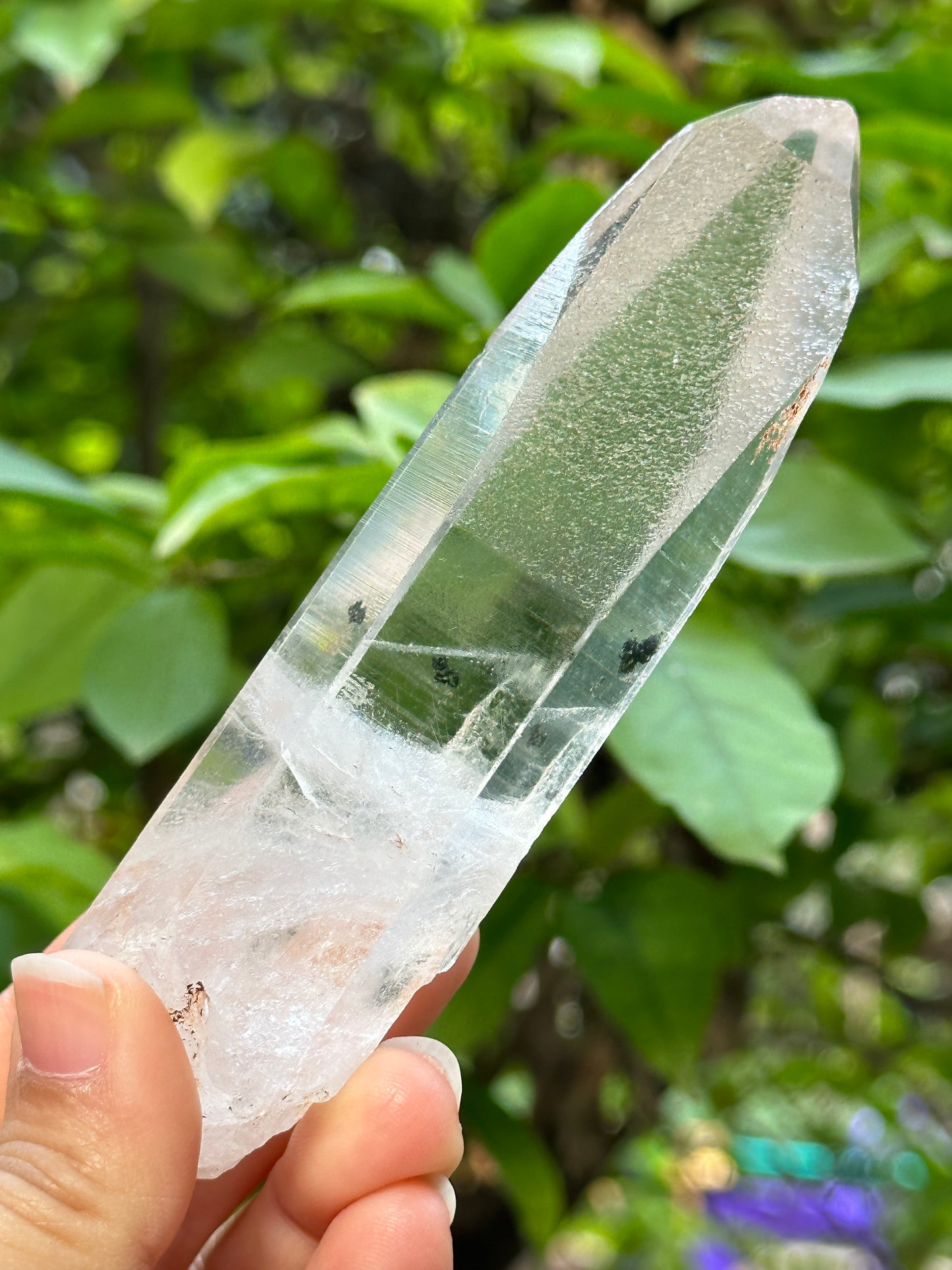 Rare Perfect Clear Record-keeper Lemurian Seed Quartz Crystal With Green Phantom &amp; Silver Rutile Included