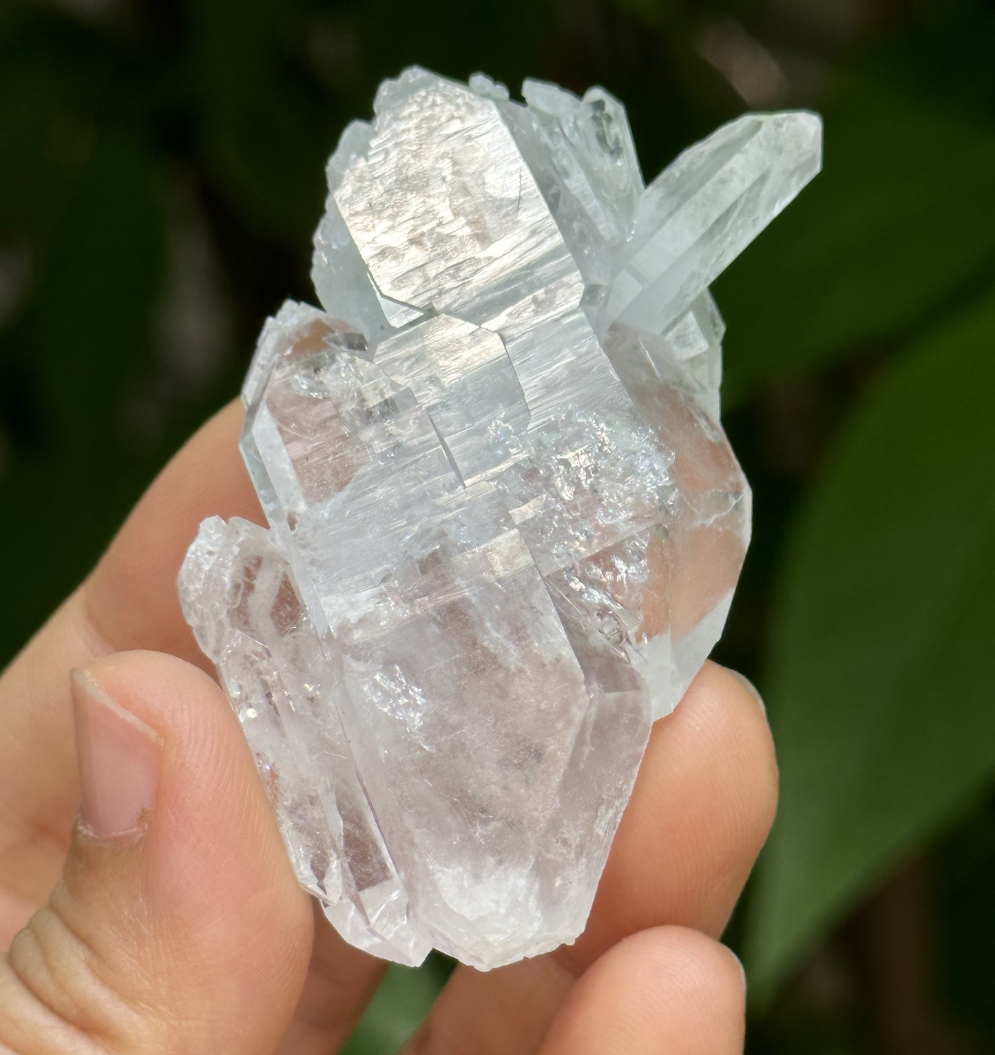 Clear Himalayan Double Termianted Faden Quartz Tabular Crystal Cluster