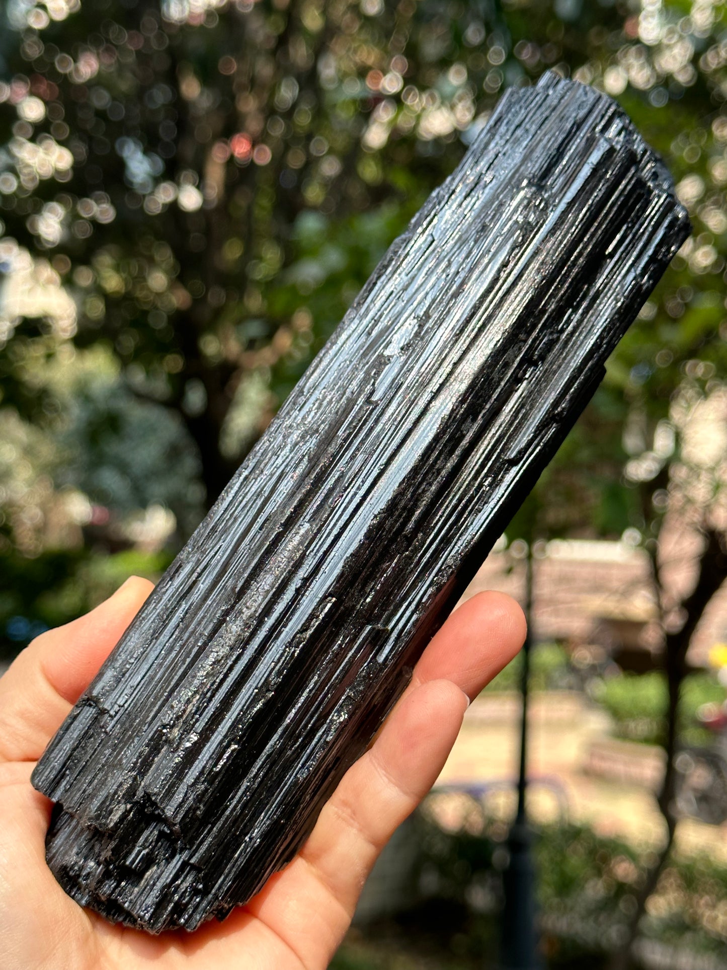 8.2 " Natural LONG & LARGE Raw Black Tourmaline Crystal Point/Shining Tourmaline Specimen-208*53*43 mm 860 g