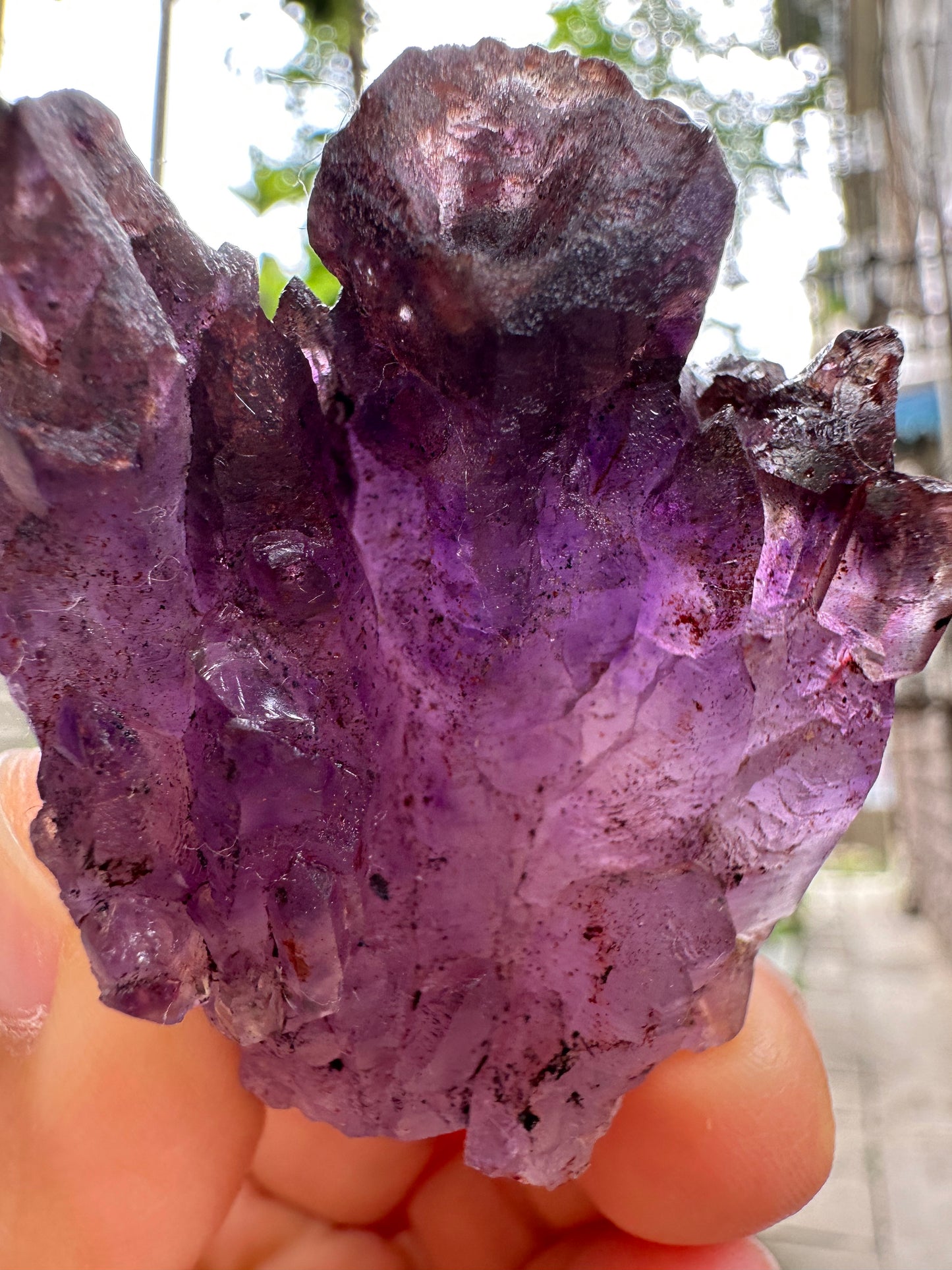 Rare Castle Super 7 Amethyst Quartz Scepter Crystal Cluster Point/Red Lepidocrocite Inclusion Mica Harlequin-crystal healing-54*38*29 mm 63g