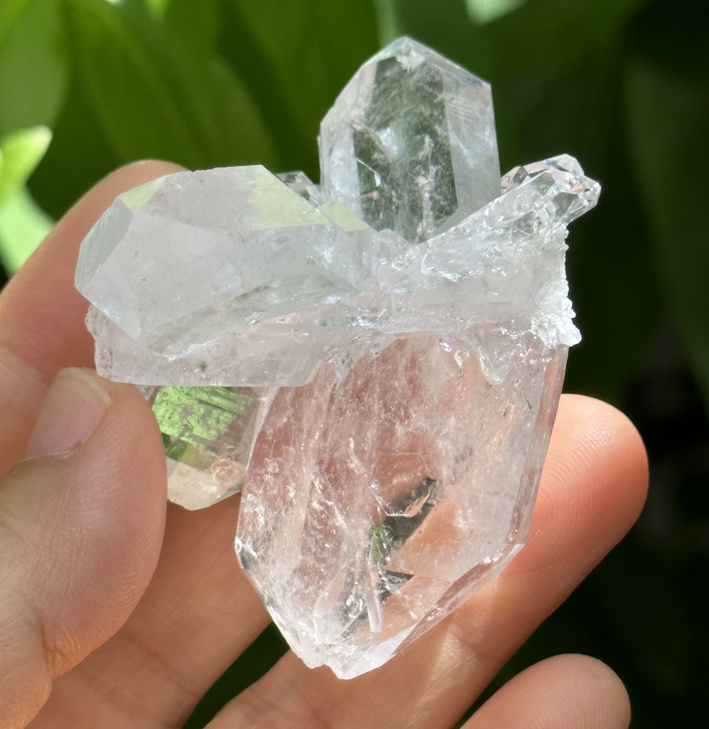 Himalayan Clear Faden Quartz Tabular Crystal Cluster