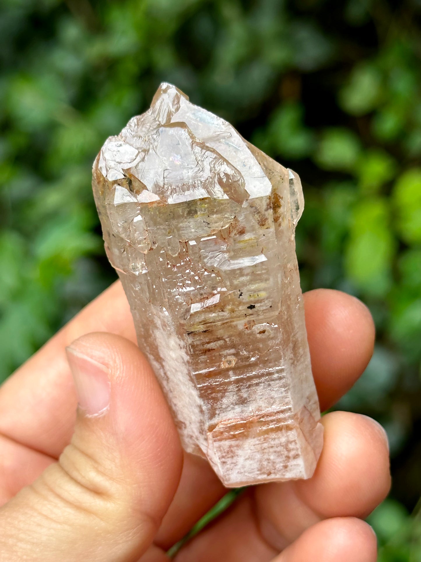 Fluorescent Skeletal Nirvana Quartz Crystal Point with Red Mud-from Madagascar Scepter crystal/Energy Quartz/Palm Stone Crystal- 61*33*24 mm 63 g