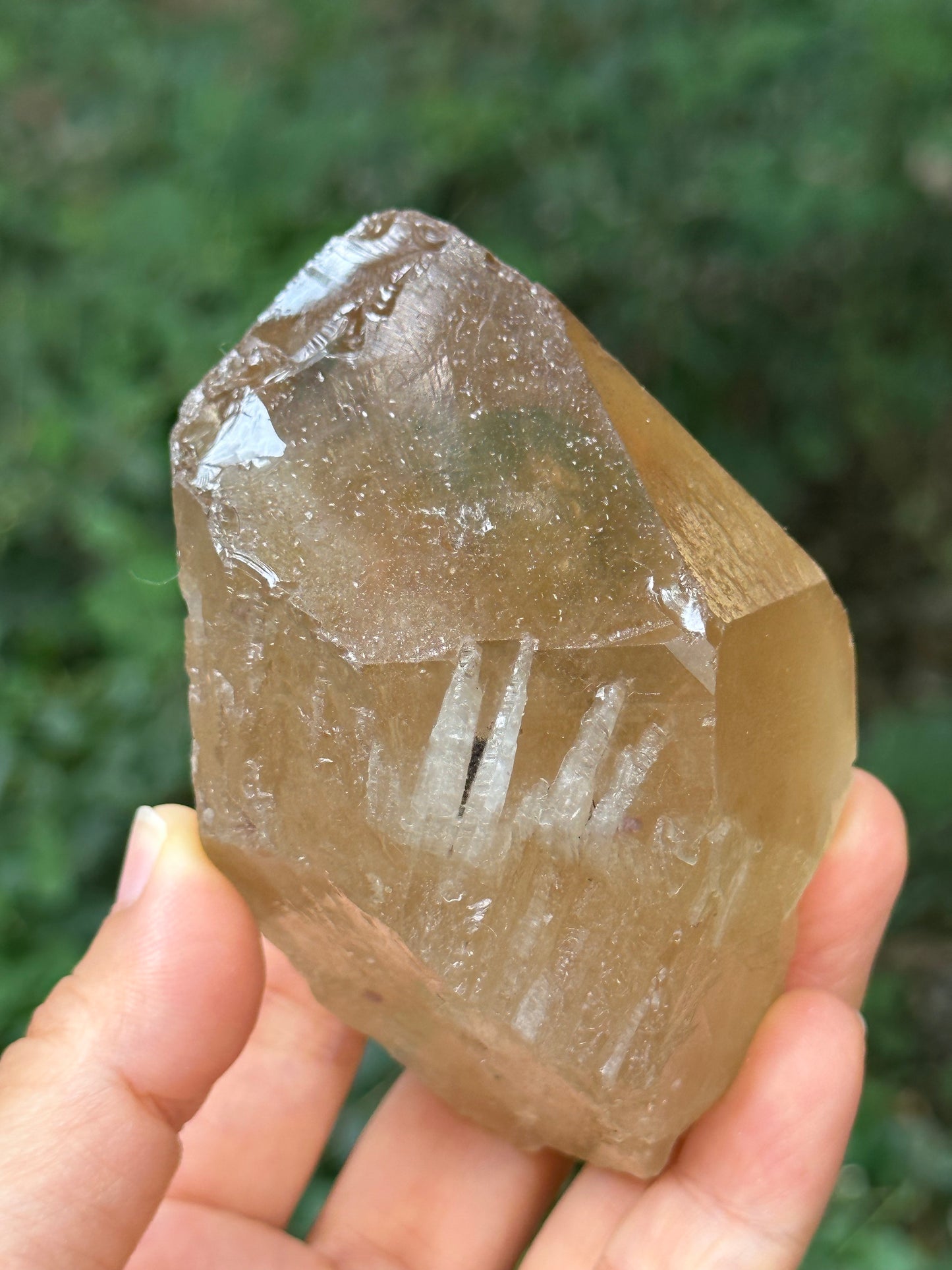 307 g Natural Citrine Record-keeper Quartz Crystal Point