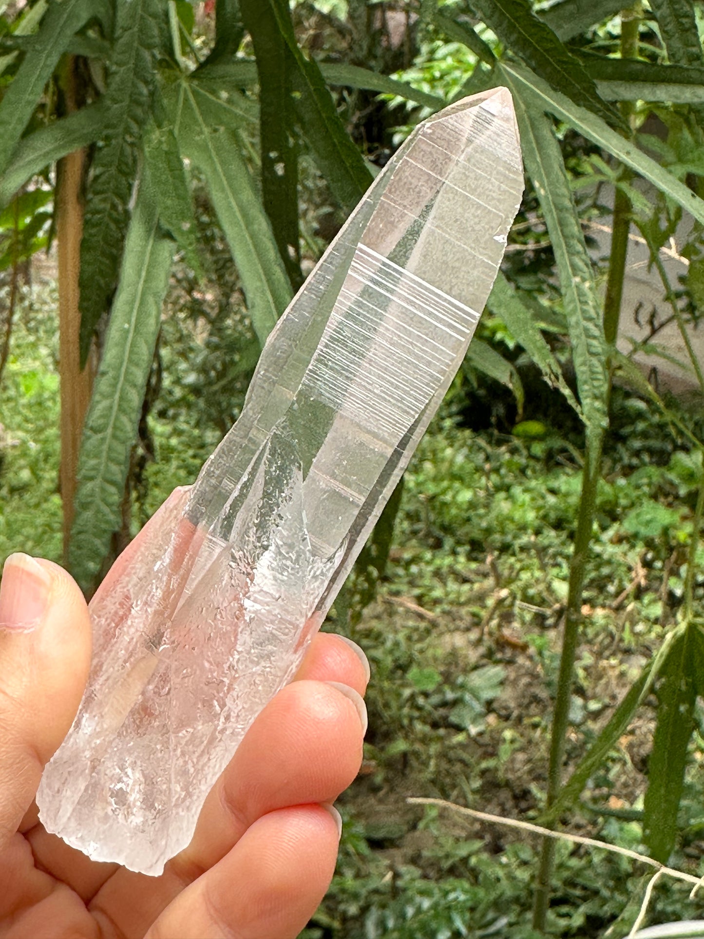 Muzo Habit Quartz Crystal Point/Laser Quartz/Lemurian Seed Quartz Crystal