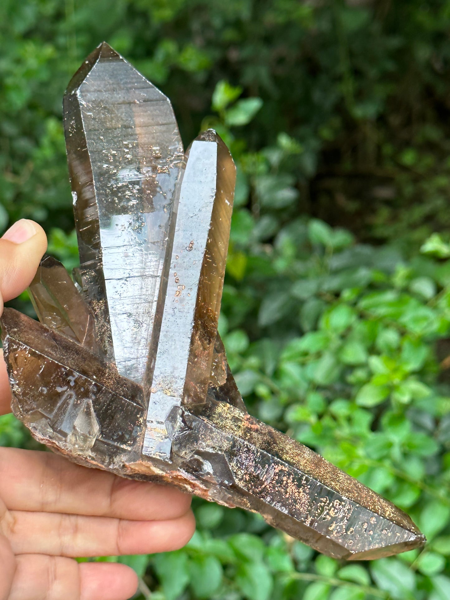 Tantric Twins Law Clear Smokey Quartz Knife Crystal Point/Citrine Quartz Muzo Crystal Cluster/Soulmate Twin Quartz Crystal-447 g