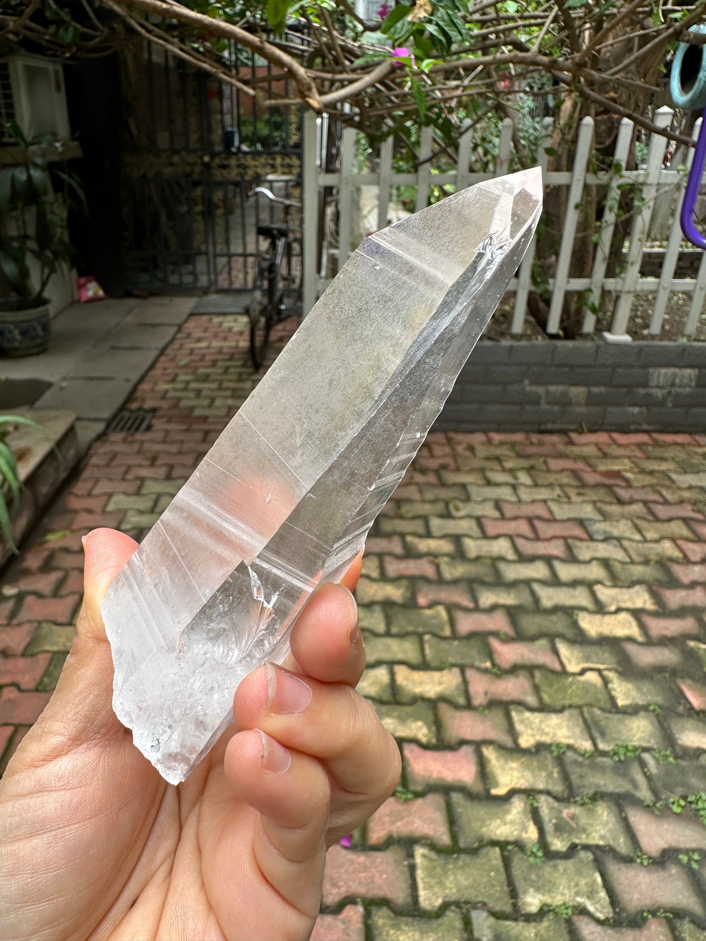 Columbia Muzo Habit Quartz Crystal Point/Laser Quartz/Lemurian Seed Quartz Crystal