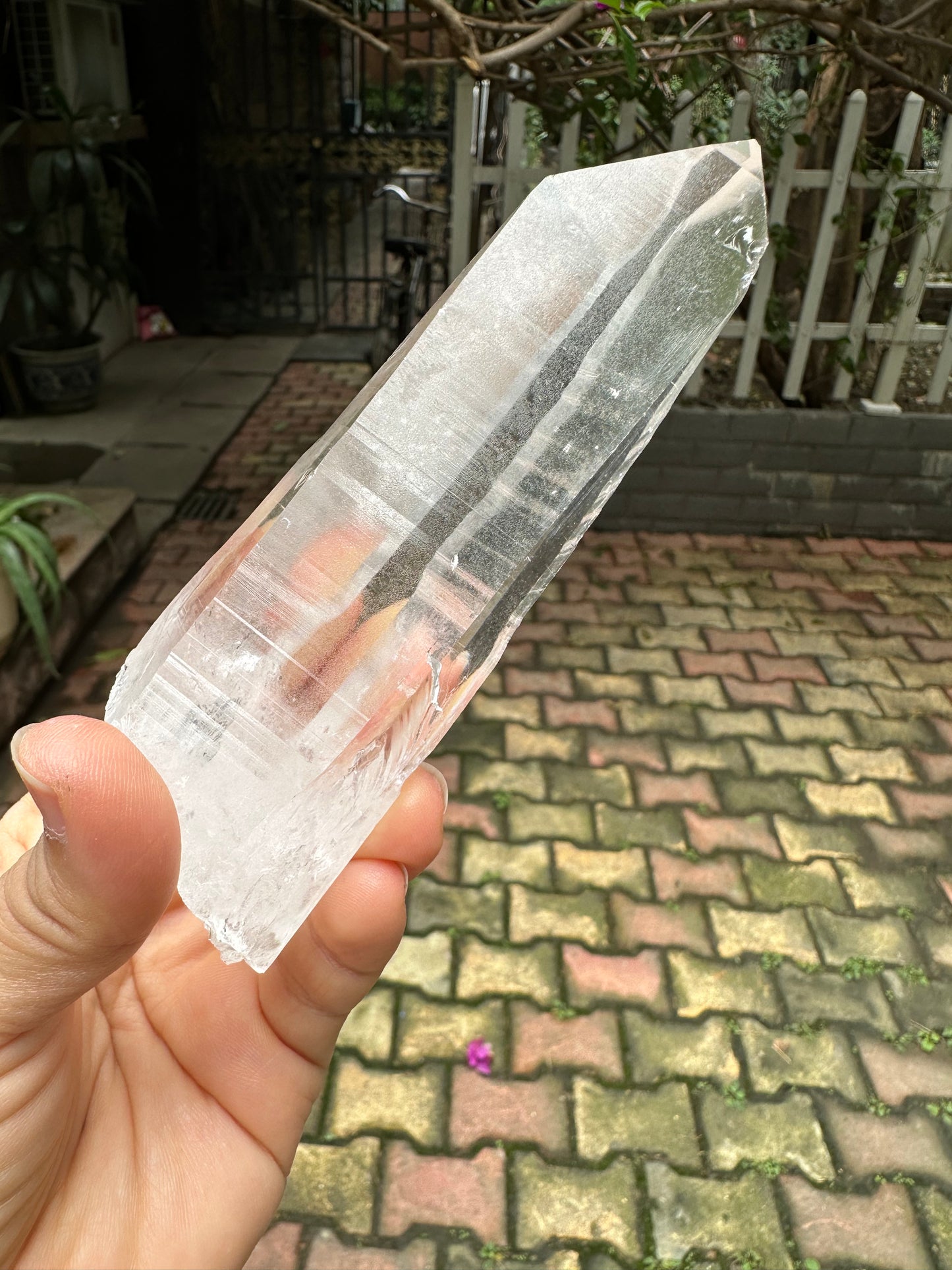 Columbia Muzo Habit Quartz Crystal Point/Laser Quartz/Lemurian Seed Quartz Crystal