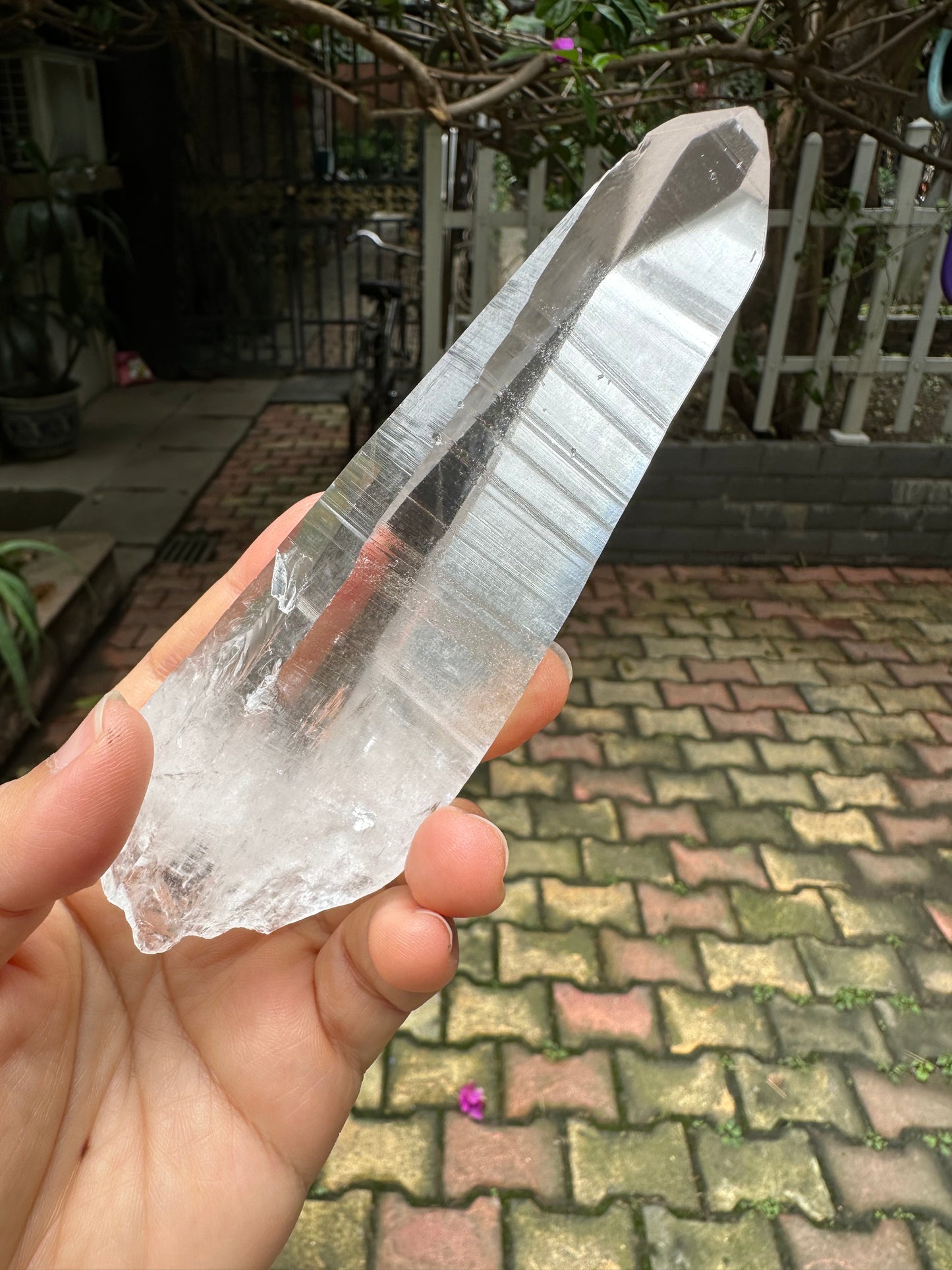 Columbia Muzo Habit Quartz Crystal Point/Laser Quartz/Lemurian Seed Quartz Crystal