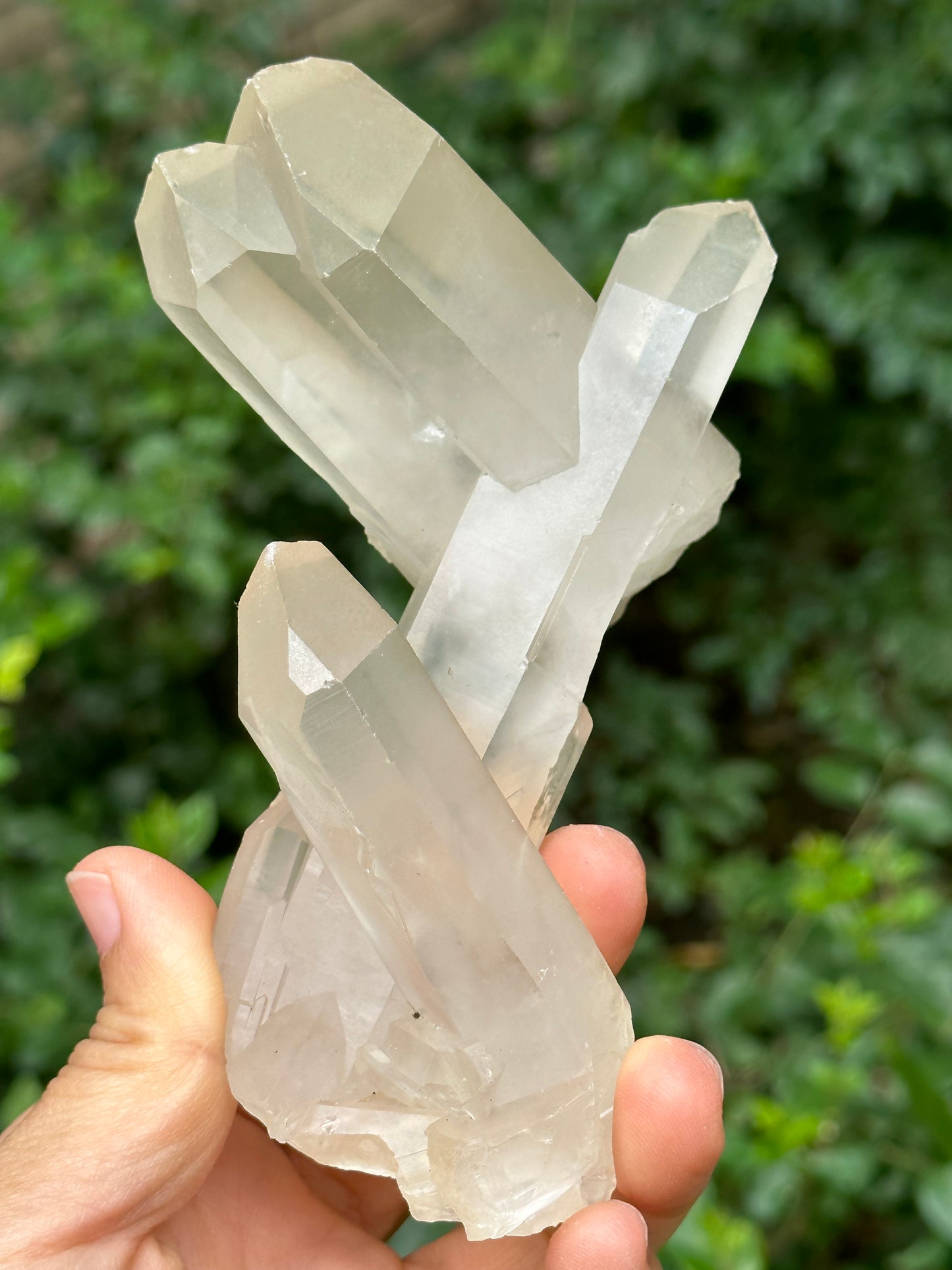 Rare Raw Bridge Quartz Crystal Cluster/Tantric twins+Time Links+Transmitter Quartz/Healing Crystal and Stone-117*46*89 mm 309 g