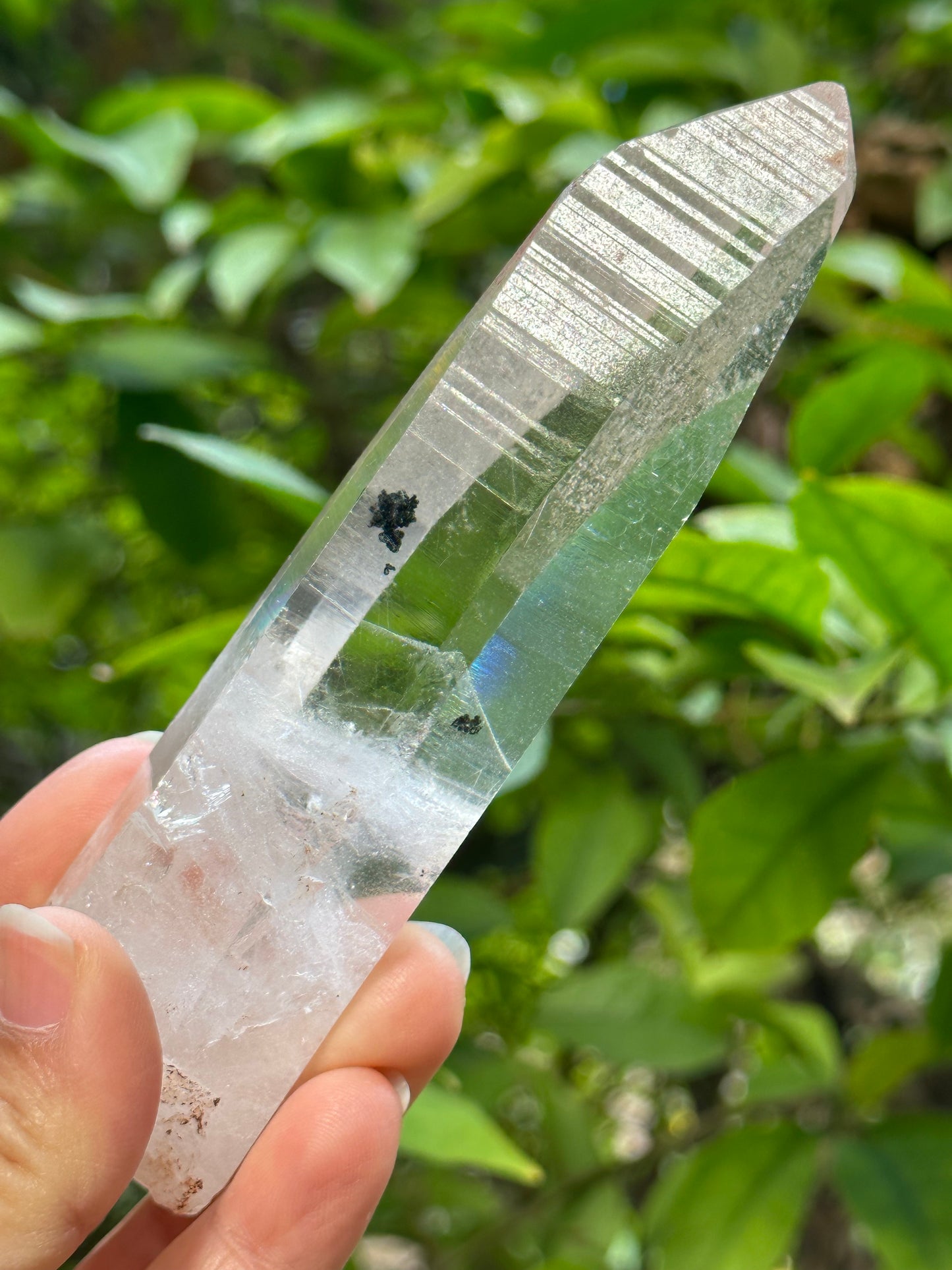 Rare Perfect Clear Record-keeper Lemurian Seed Quartz Crystal With Green Phantom &amp; Silver Rutile Included