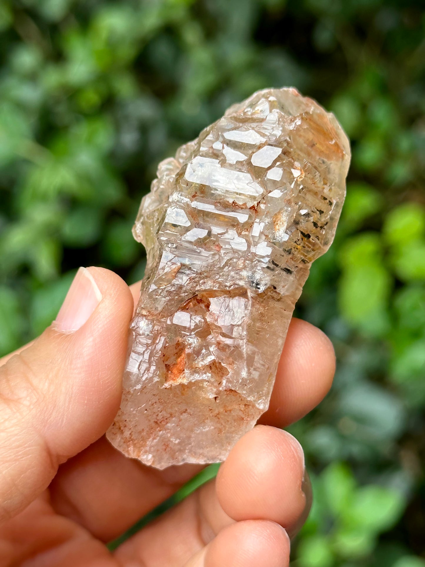 Rare Fluorescent Skeleton Fenster Quartz Crystal Point with red soil-from Madagascar Scepter Crystal/Energy Quartz-62*30*23 mm 47g