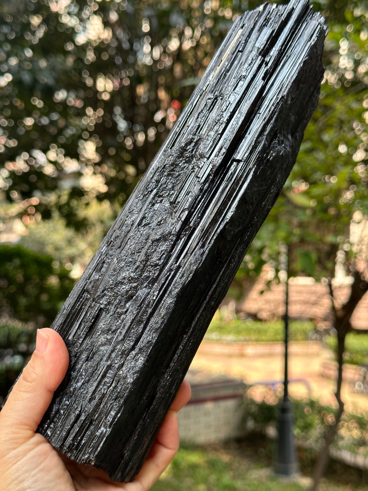 9.8 "/5 lbs  EXTRA LONG & LARGE Raw Black Tourmaline Crystal Point/Shining Tourmaline Specimen-250*83*52 mm 2241 g