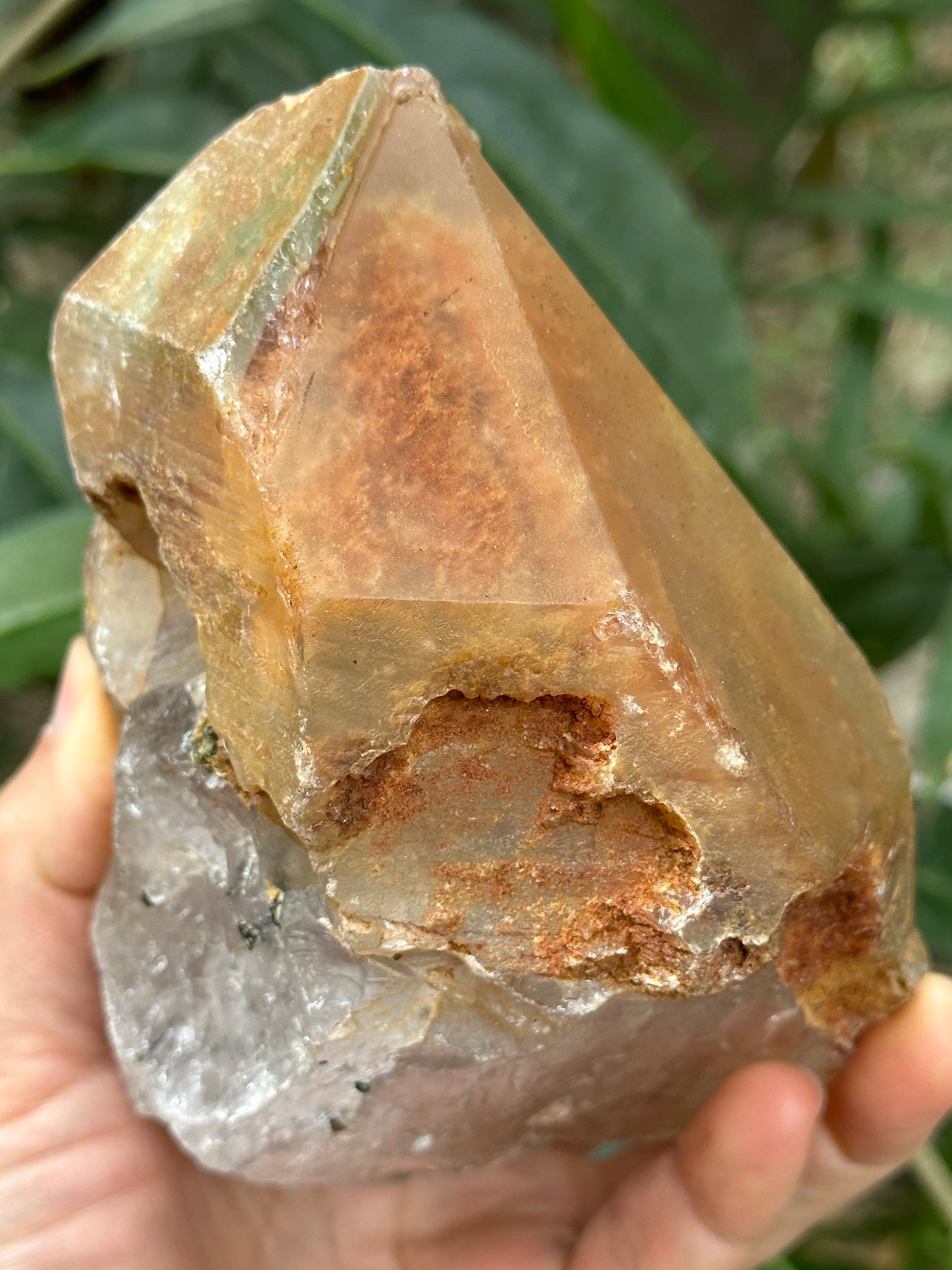 Rare Tangerine Amphibole & Green Tourmaline Grow with Quartz Crystal Point