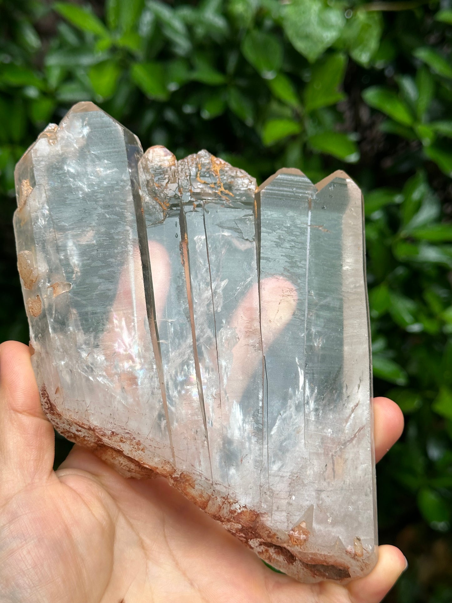 Rare Himalayan Tabular Multiple Quartz Crystals + wooden stand