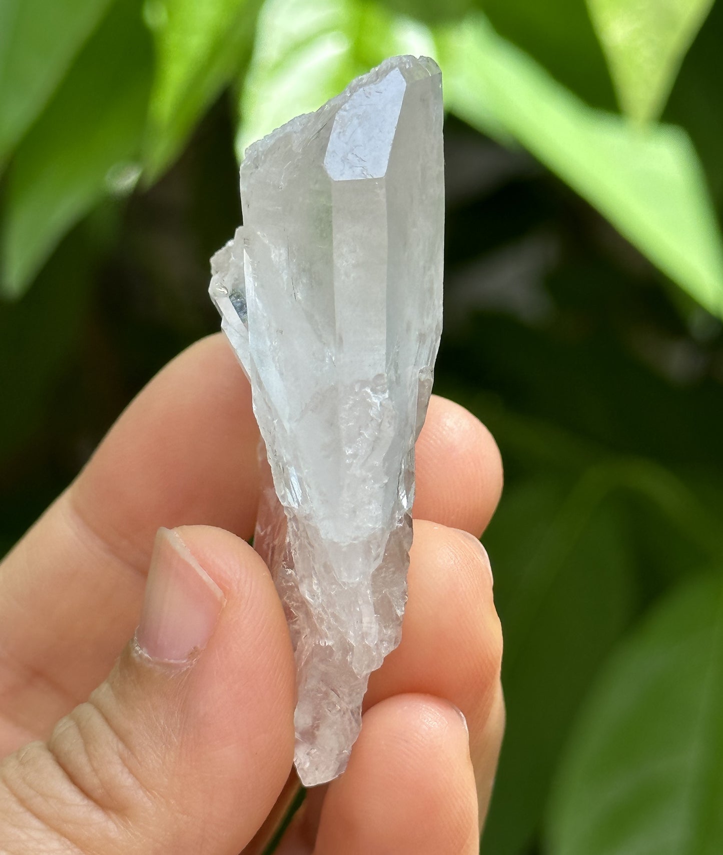 Clear Faden Quartz Tabular Crystal Cluster