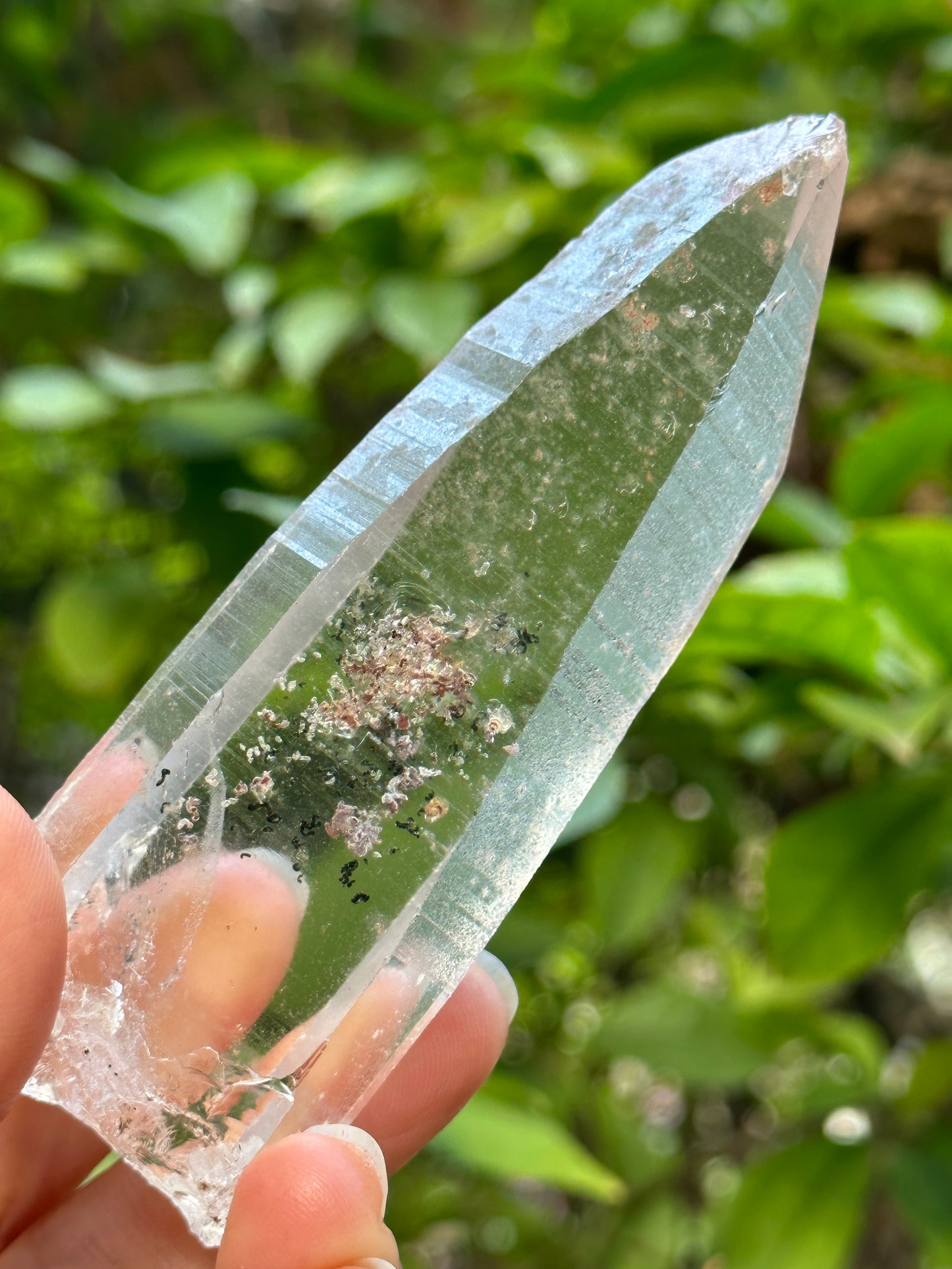 Rare Perfect Clear Record-keeper Lemurian Seed Quartz Crystal With Green Phantom Included