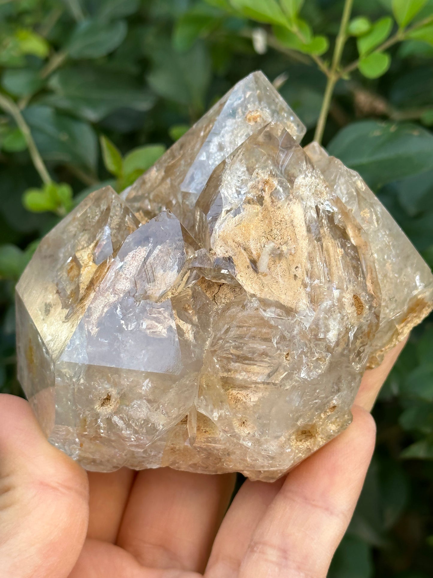 307 g Clear Himalayan Record-keeper Skeletal Quartz Fenster Crystal Cluster