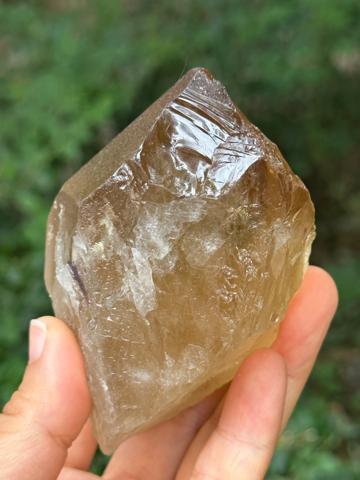 307 g Natural Citrine Record-keeper Quartz Crystal Point