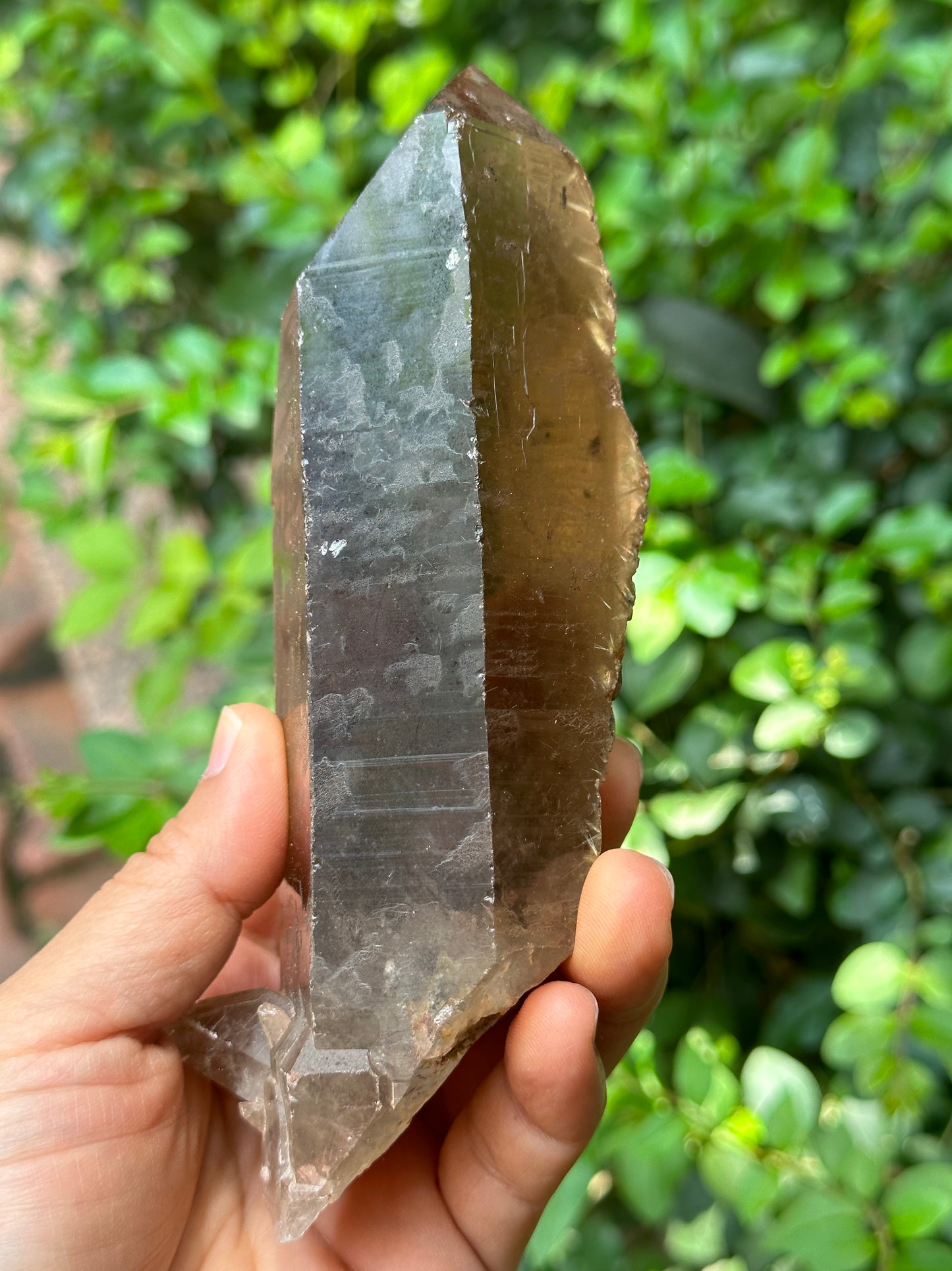 Time Links Smokey Quartz Crystal Point with Golden Rutile+Specularite Inclusion/Powerful Engergy Quartz /Healing Stone/Reiki/Chakra/Zen-541g