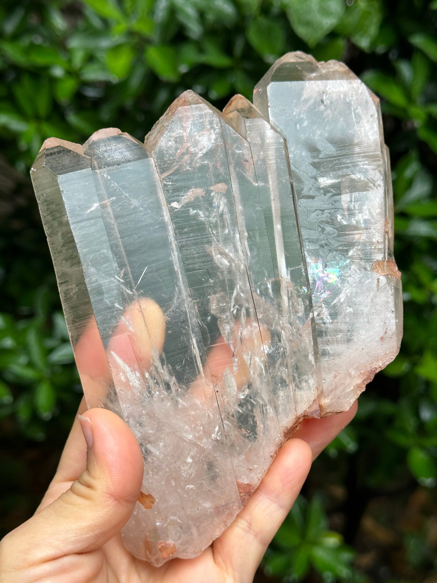 Rare Himalayan Tabular Multiple Quartz Crystals + wooden stand