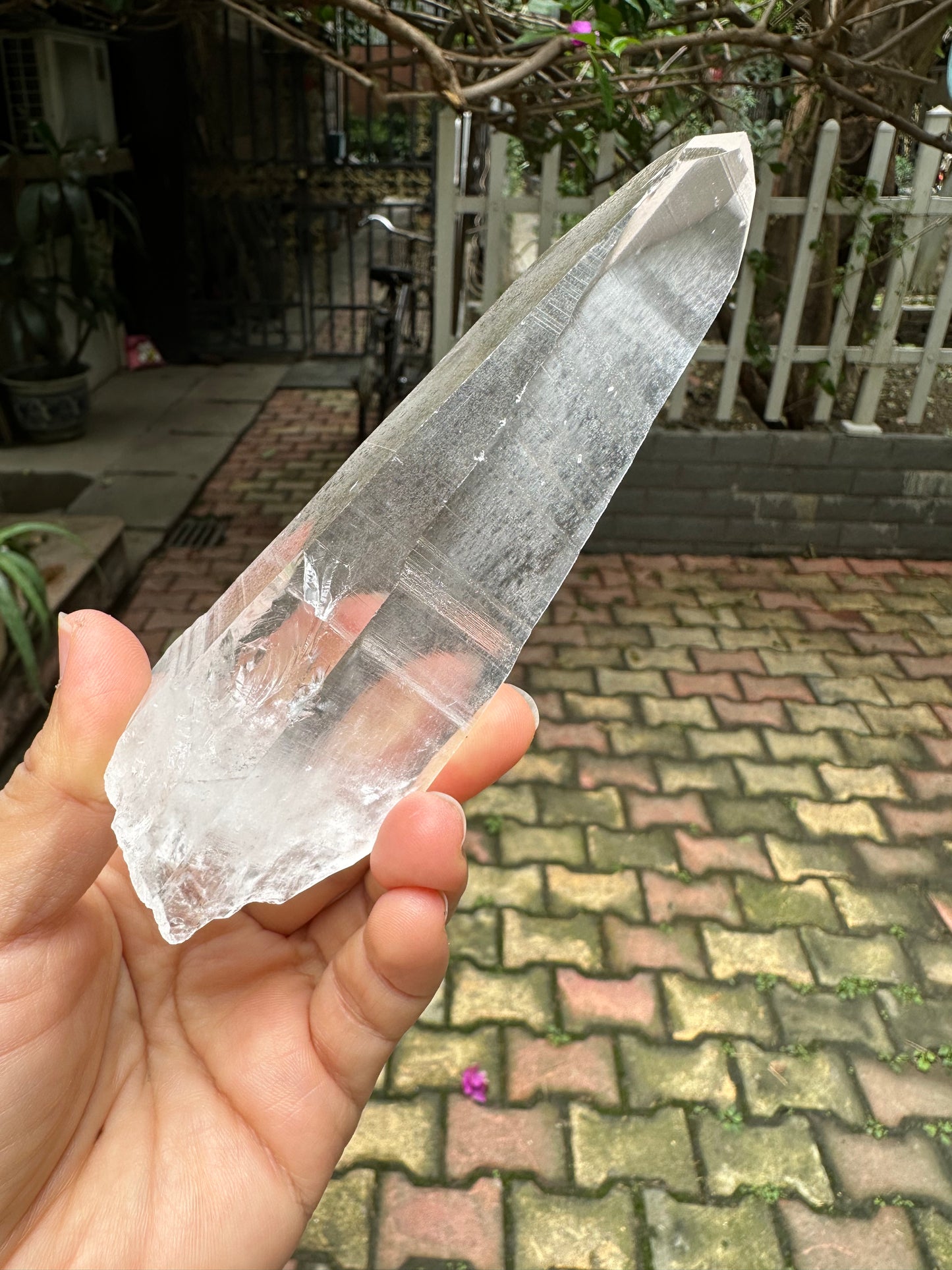 Columbia Muzo Habit Quartz Crystal Point/Laser Quartz/Lemurian Seed Quartz Crystal