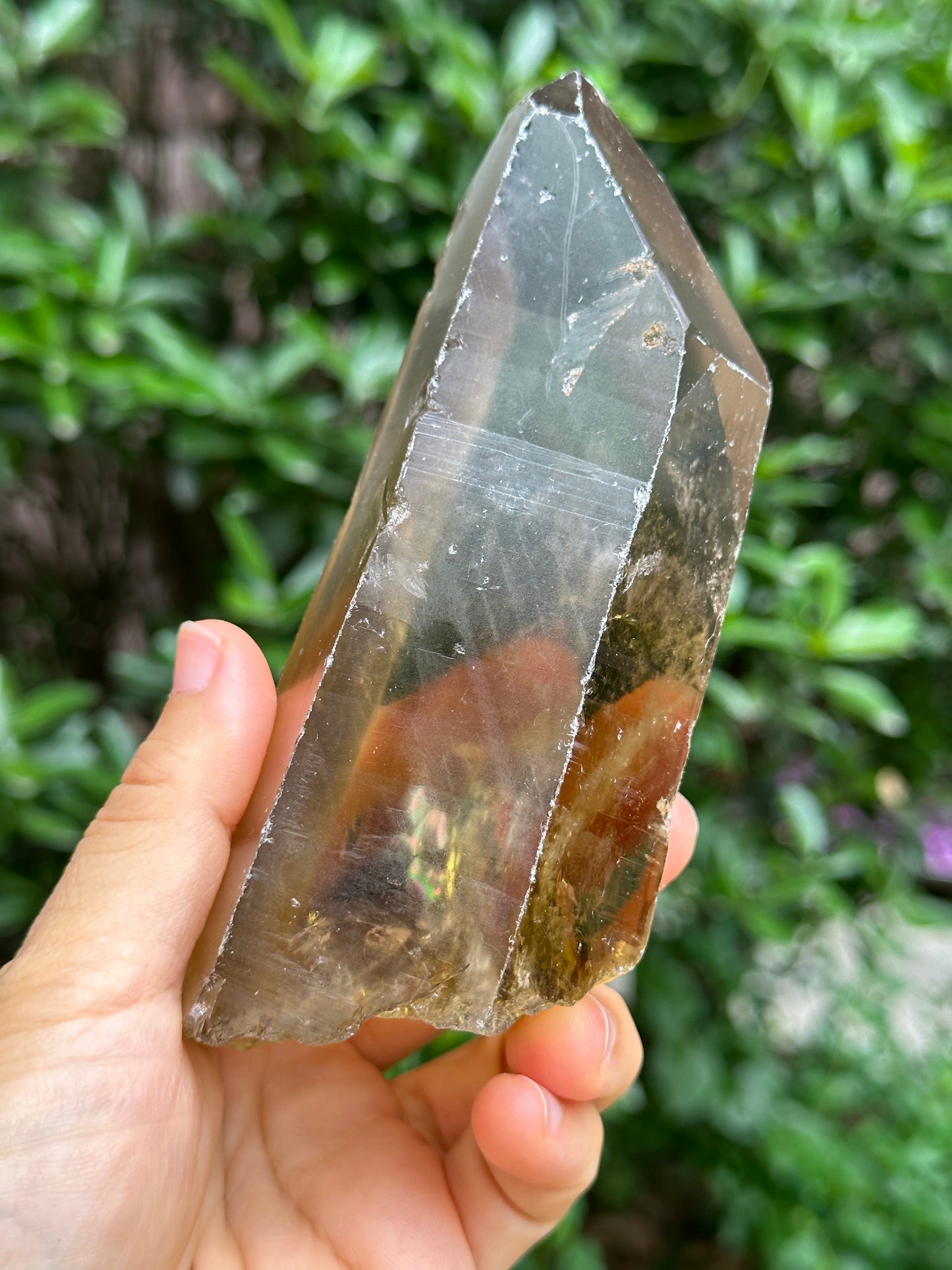 Rare Window Citrine Crystal Time Links Quartz Crystal Energy Healing Meditation