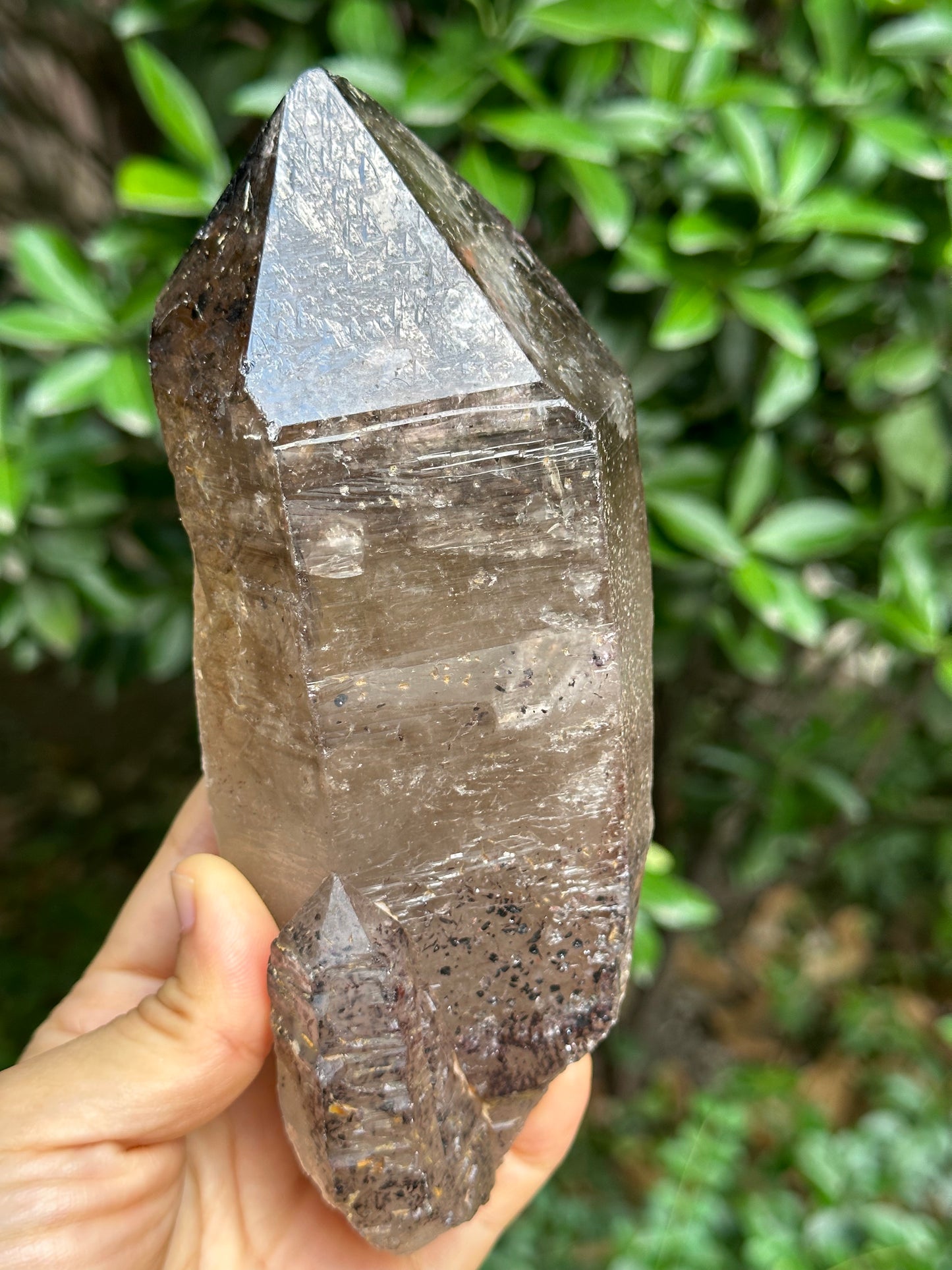 759 g Rare Record-keeper Strawberry Quartz Crystal Point