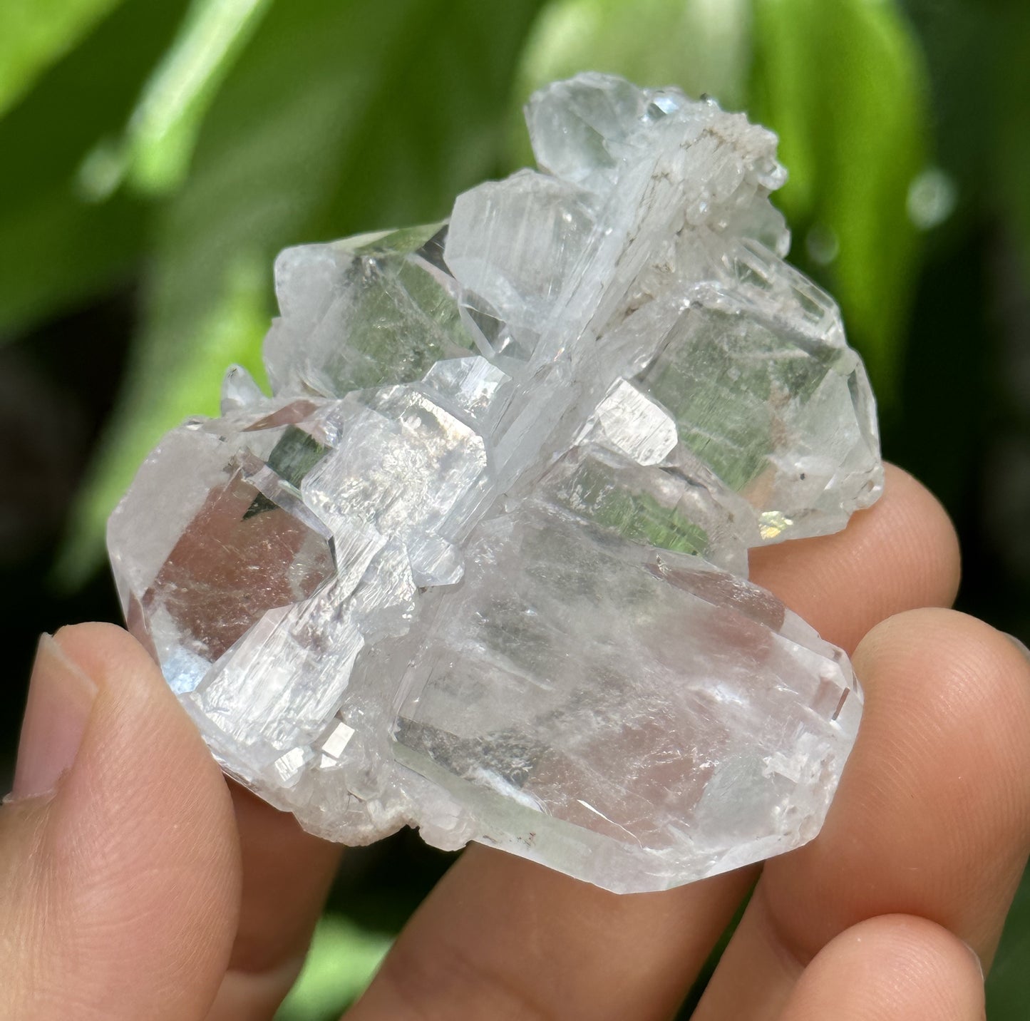 Clear Double Terminated Faden Tabular Quartz Crystal Cluster