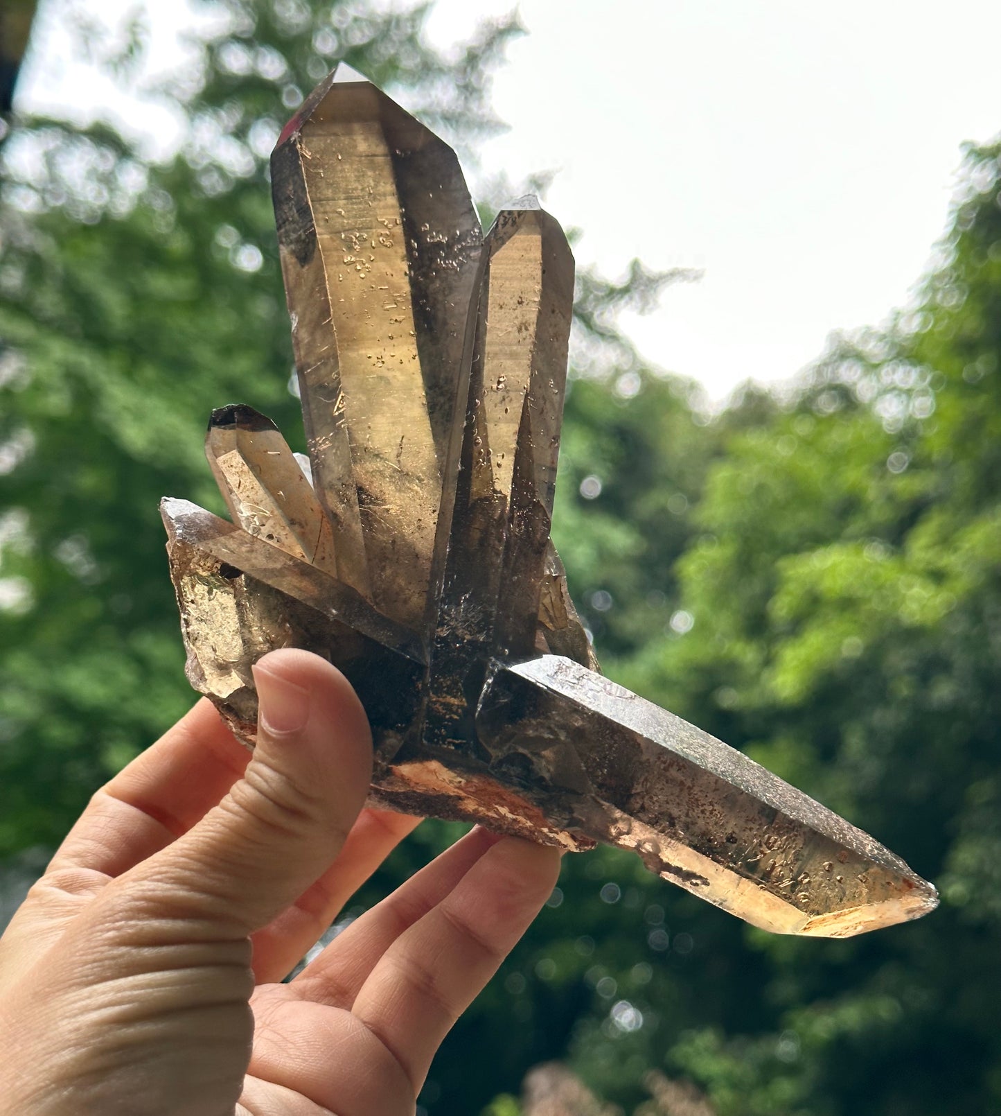 Tantric Twins Law Clear Smokey Quartz Knife Crystal Point/Citrine Quartz Muzo Crystal Cluster/Soulmate Twin Quartz Crystal-447 g