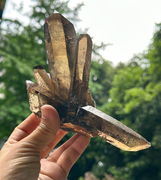 Tantric Twins Law Clear Smokey Quartz Knife Crystal Point/Citrine Quartz Muzo Crystal Cluster/Soulmate Twin Quartz Crystal-447 g