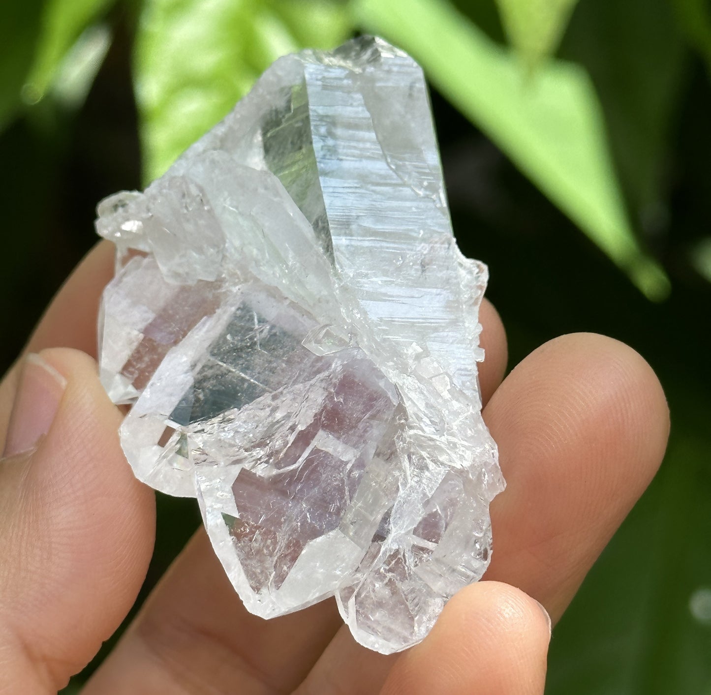 Clear Faden Quartz Tabular Crystal Cluster