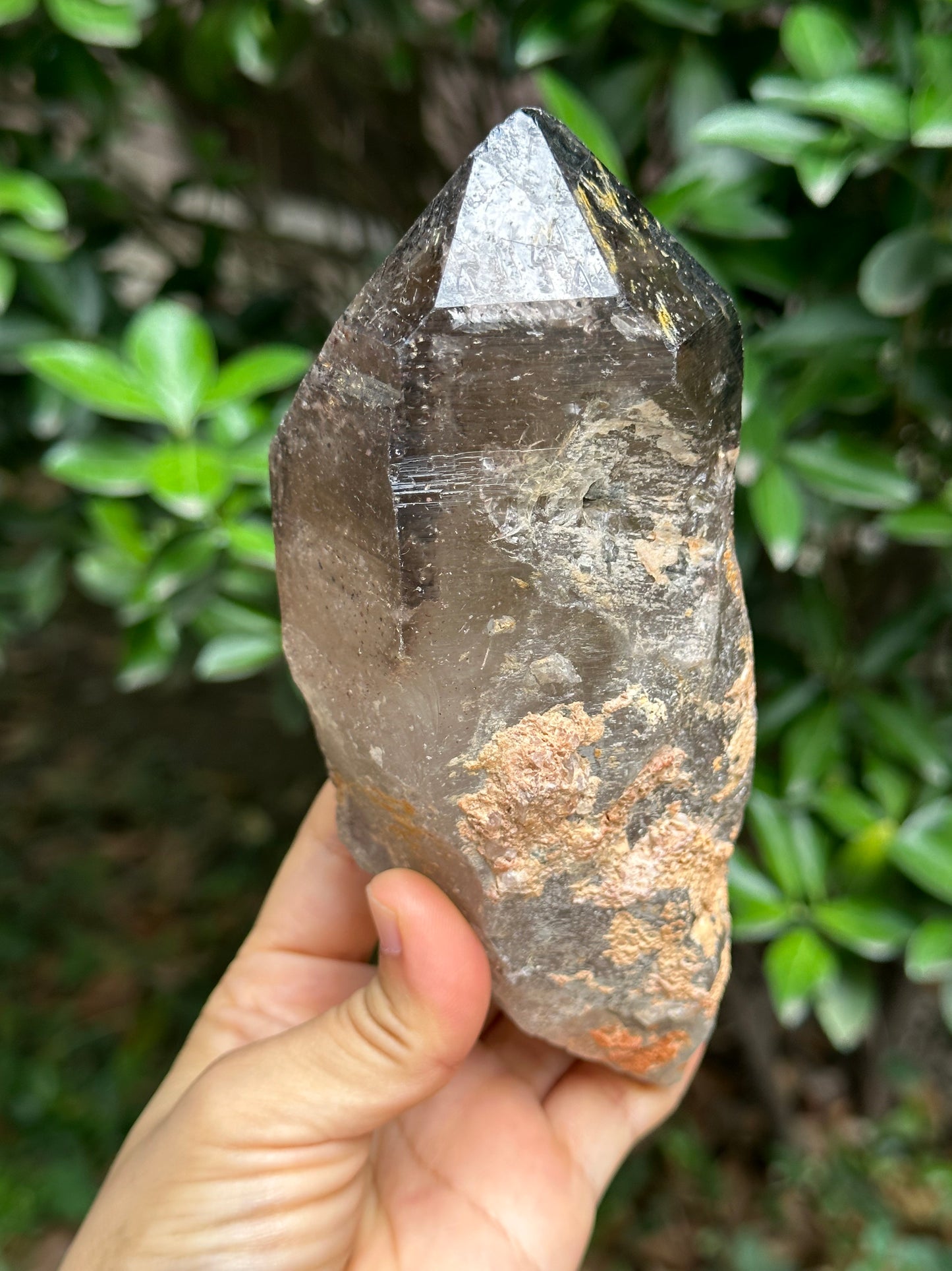 759 g Rare Record-keeper Strawberry Quartz Crystal Point