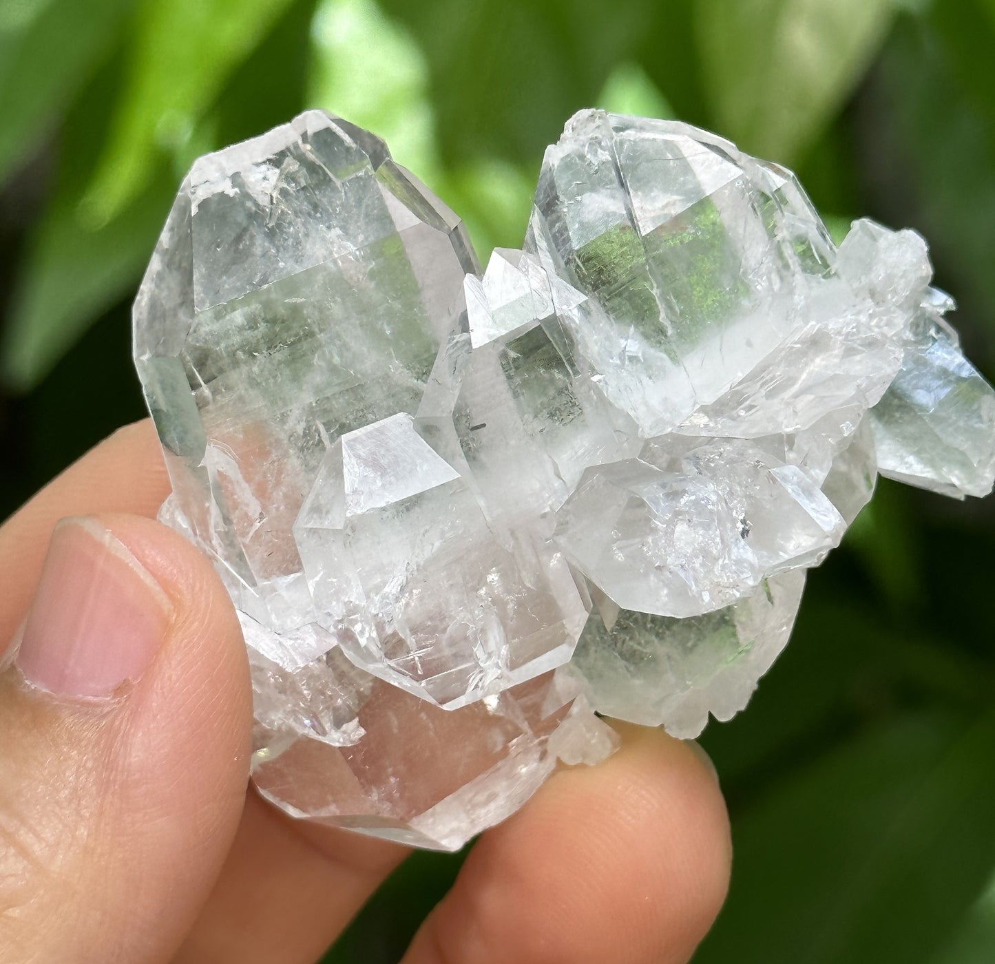 Clear Double Terminated Faden Tabular Quartz Crystal Cluster