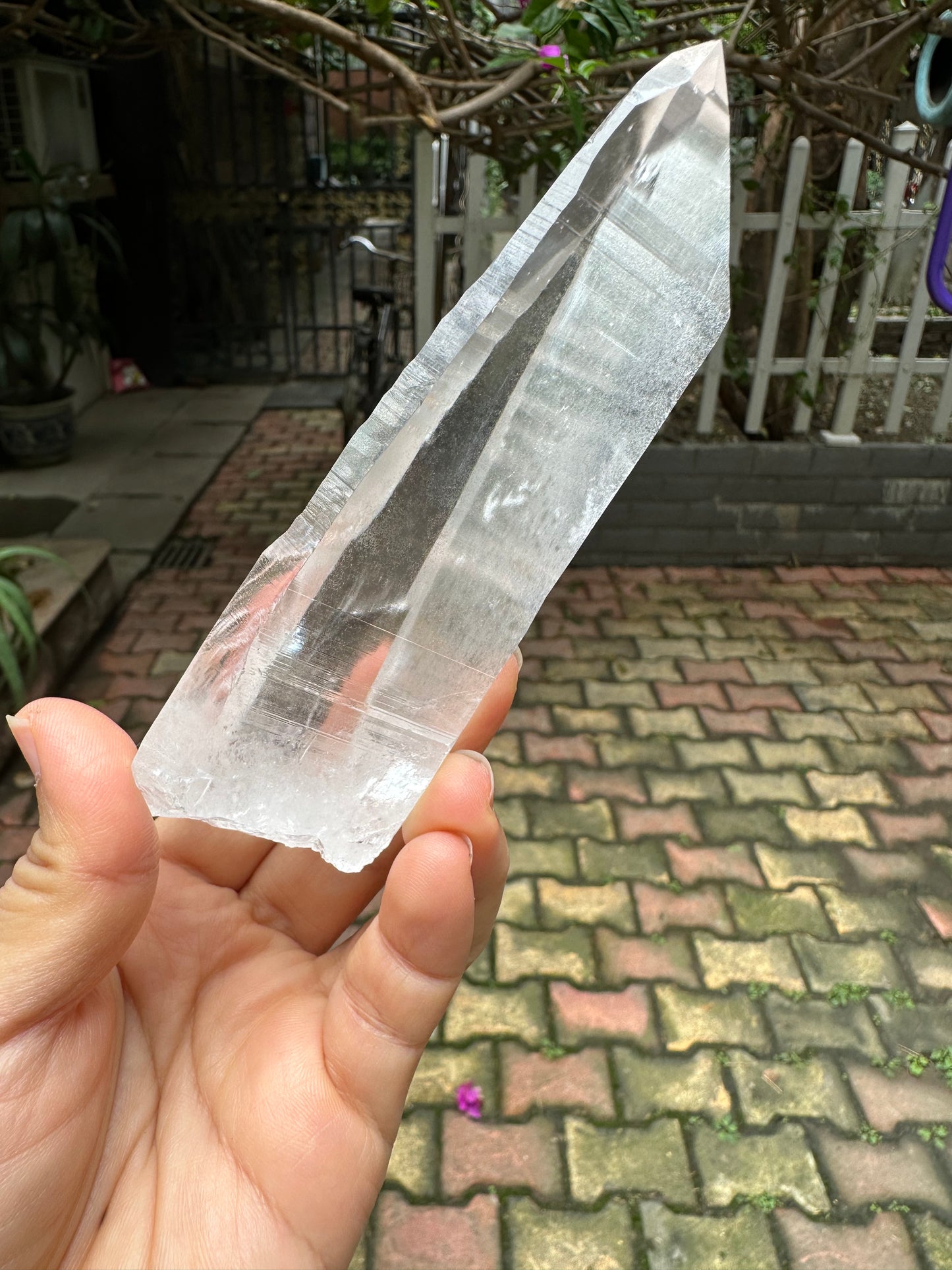 Columbia Muzo Habit Quartz Crystal Point/Laser Quartz/Lemurian Seed Quartz Crystal